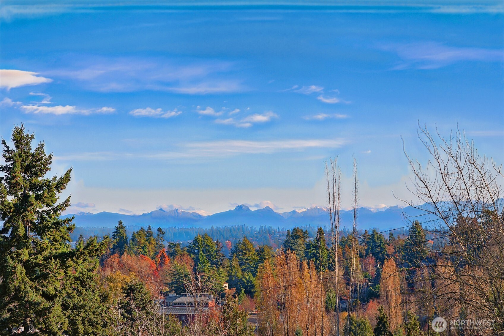 2512 E Madison Street Unit: 401