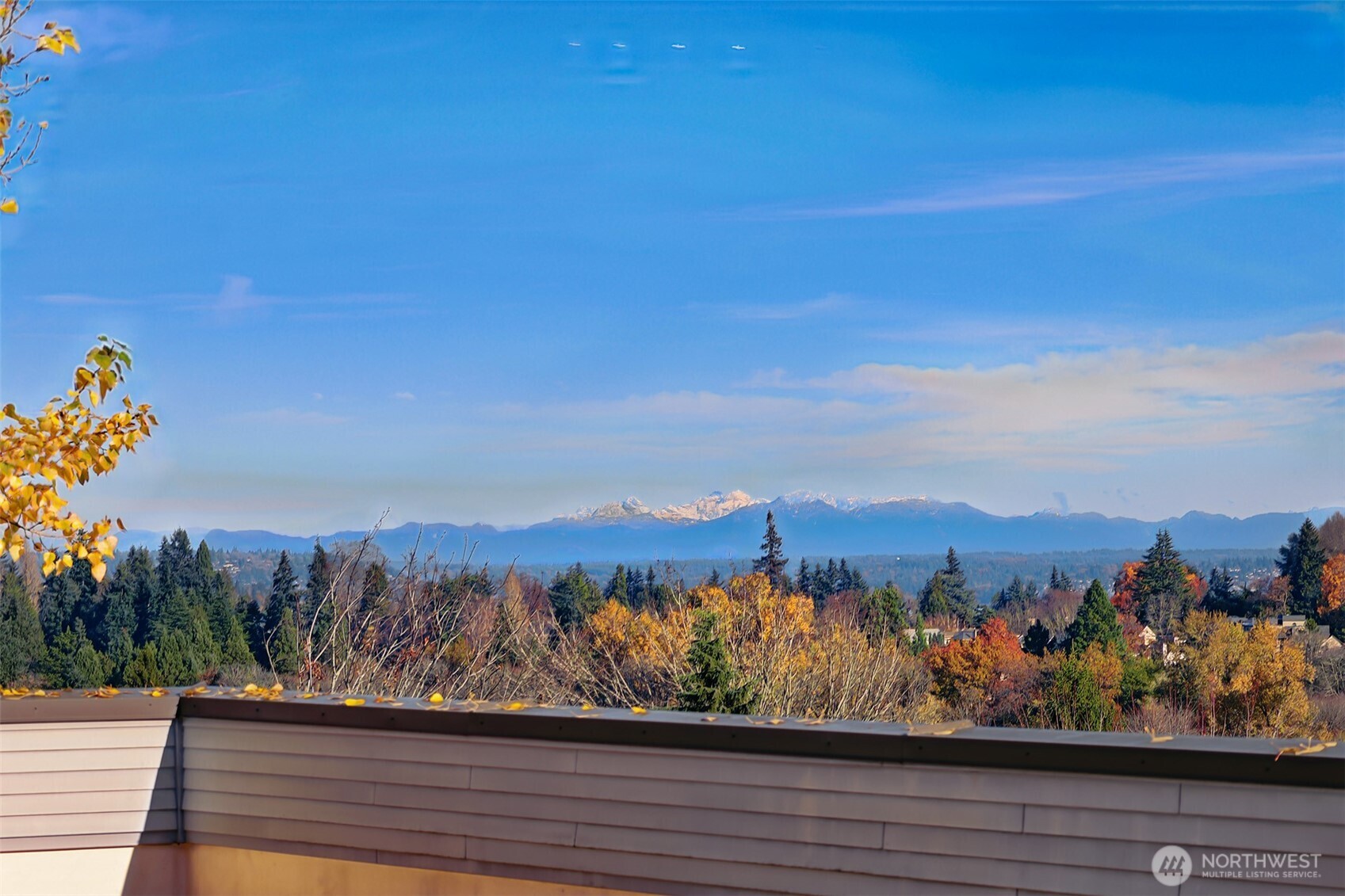 2512 E Madison Street Unit: 401