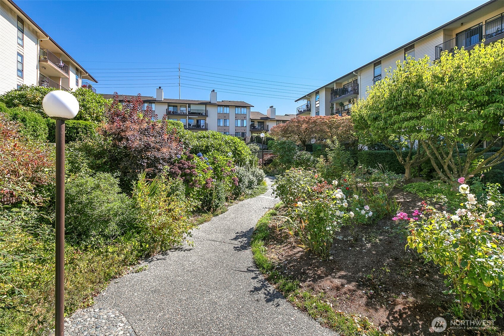 13229 Linden Avenue N Unit: 509-B