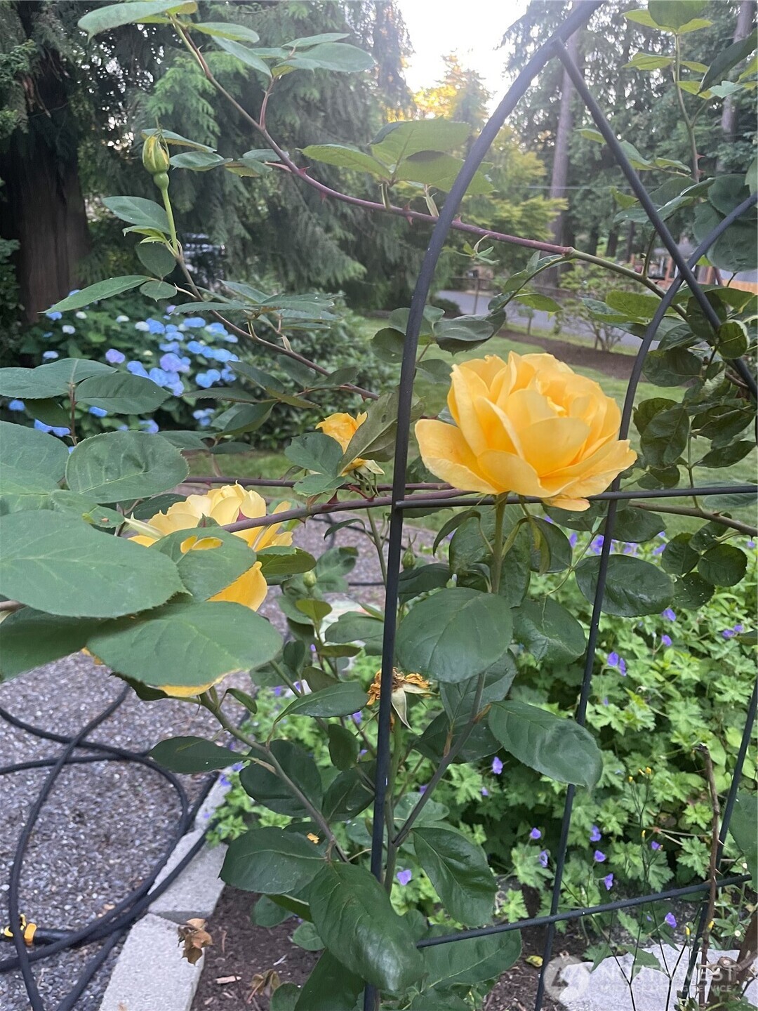 22707 53rd Avenue SE