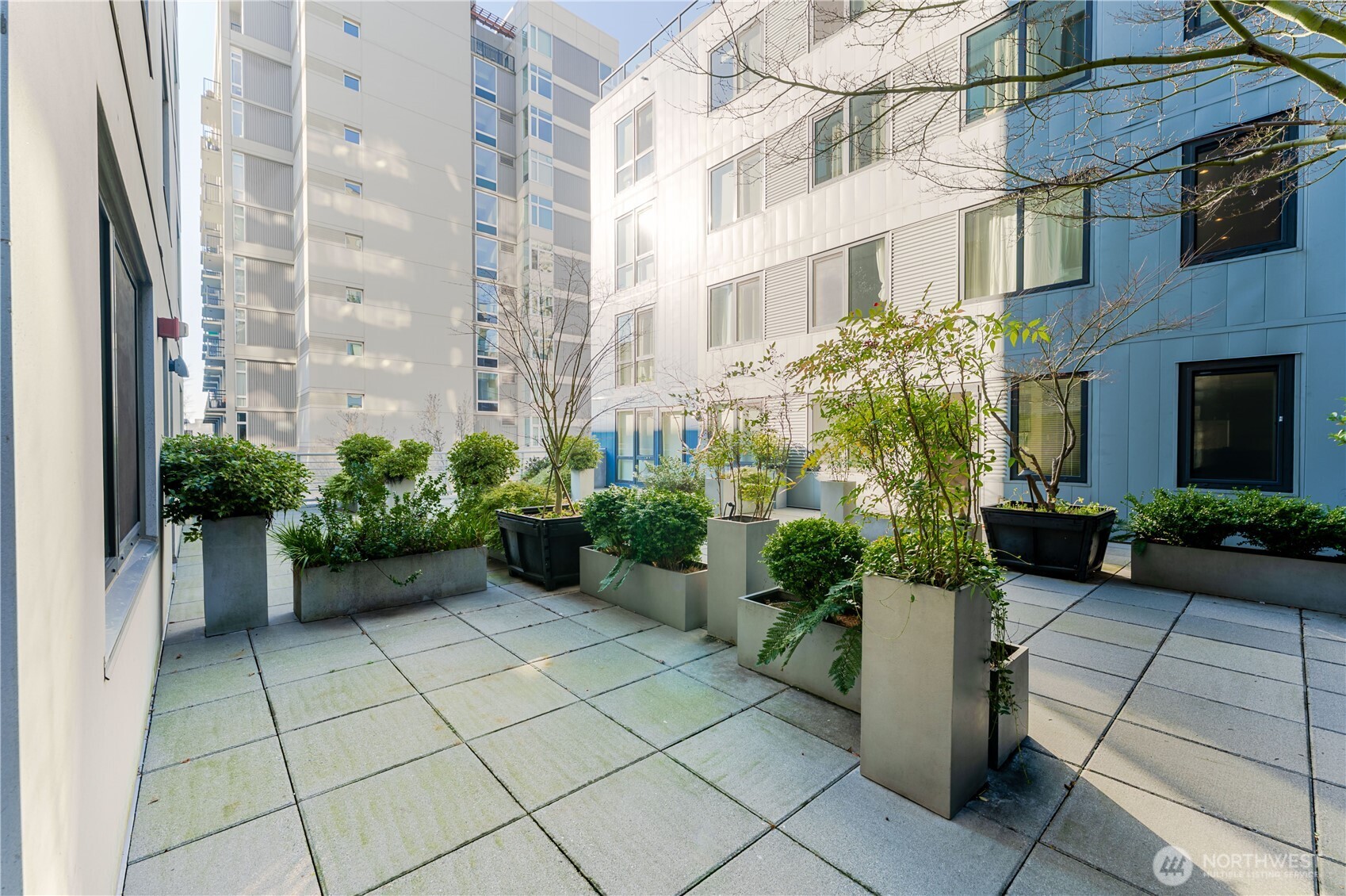 76 Cedar Street Unit: 303