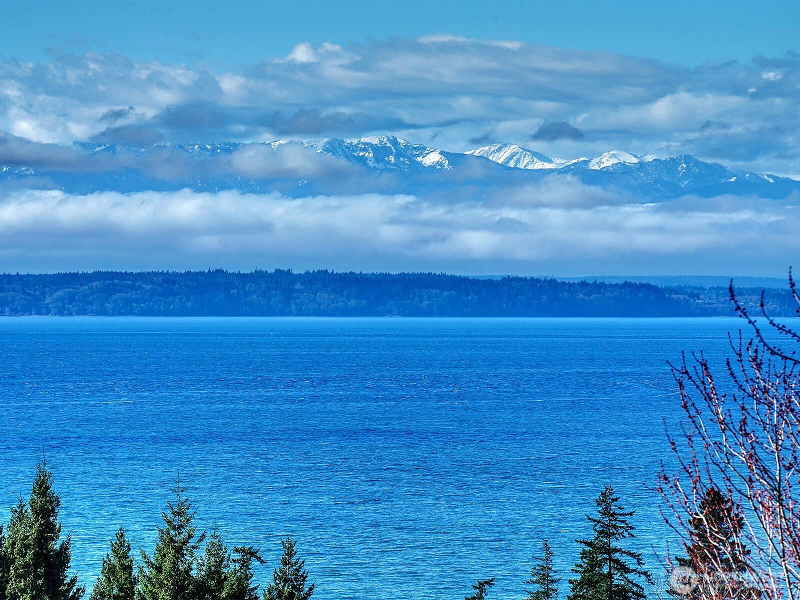 10967 W Villa Monte Drive