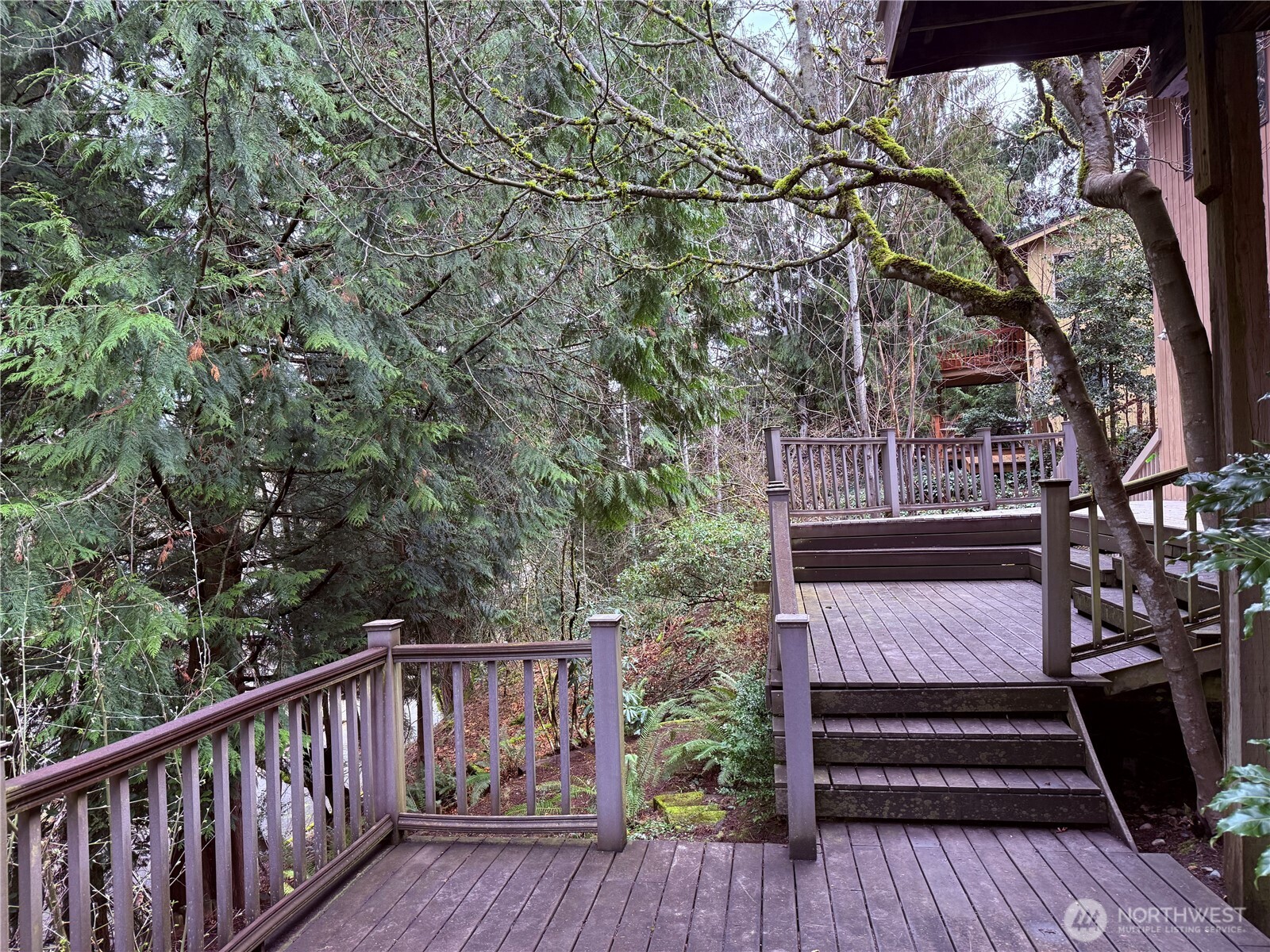 4529 153rd Avenue SE