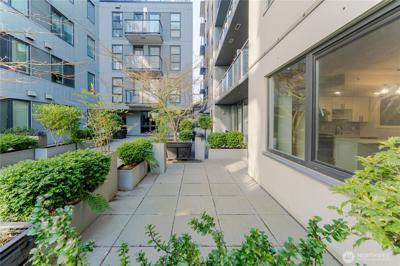 76 Cedar Street Unit: 303