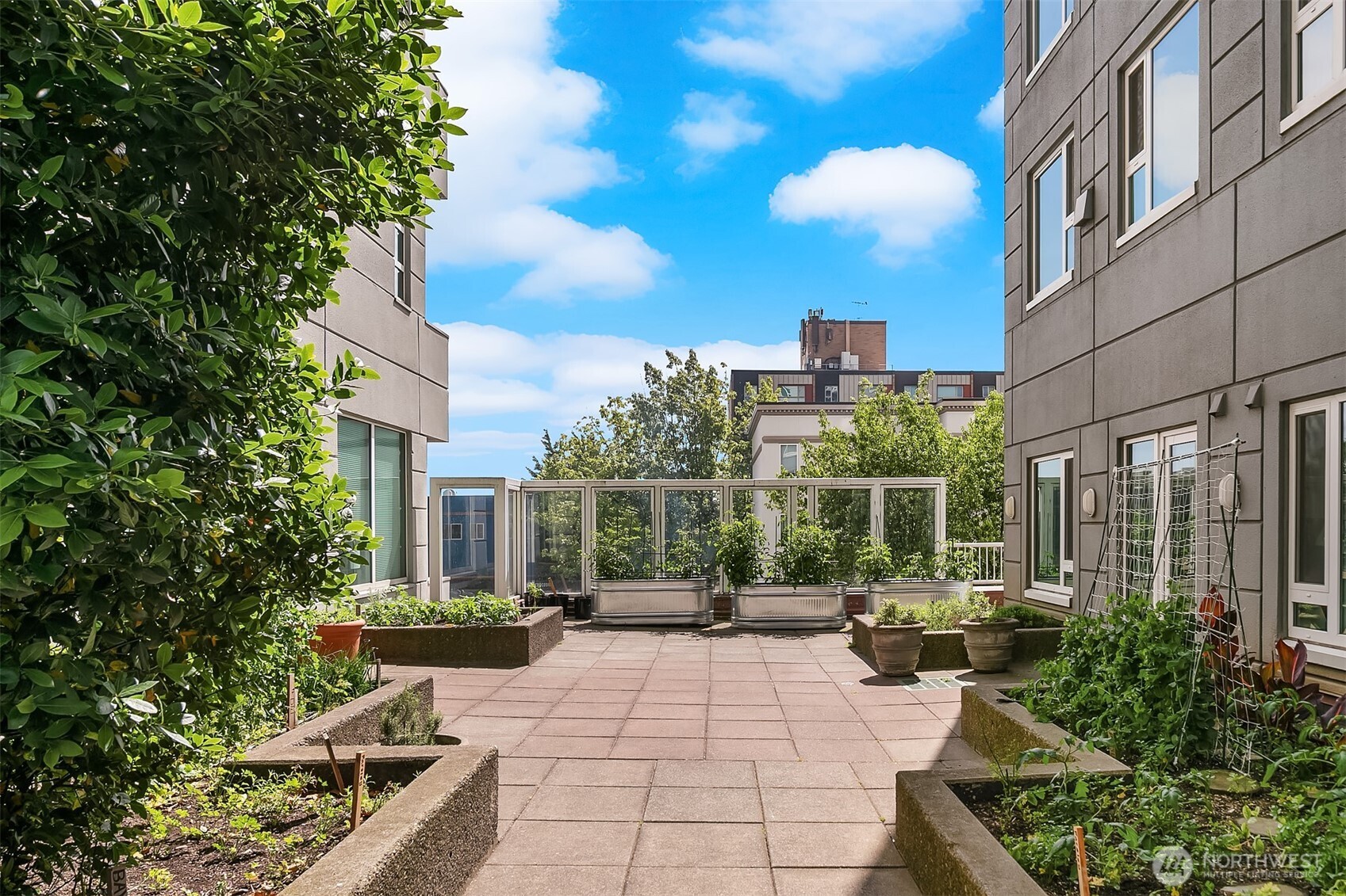 121 Vine Street Unit: 2506