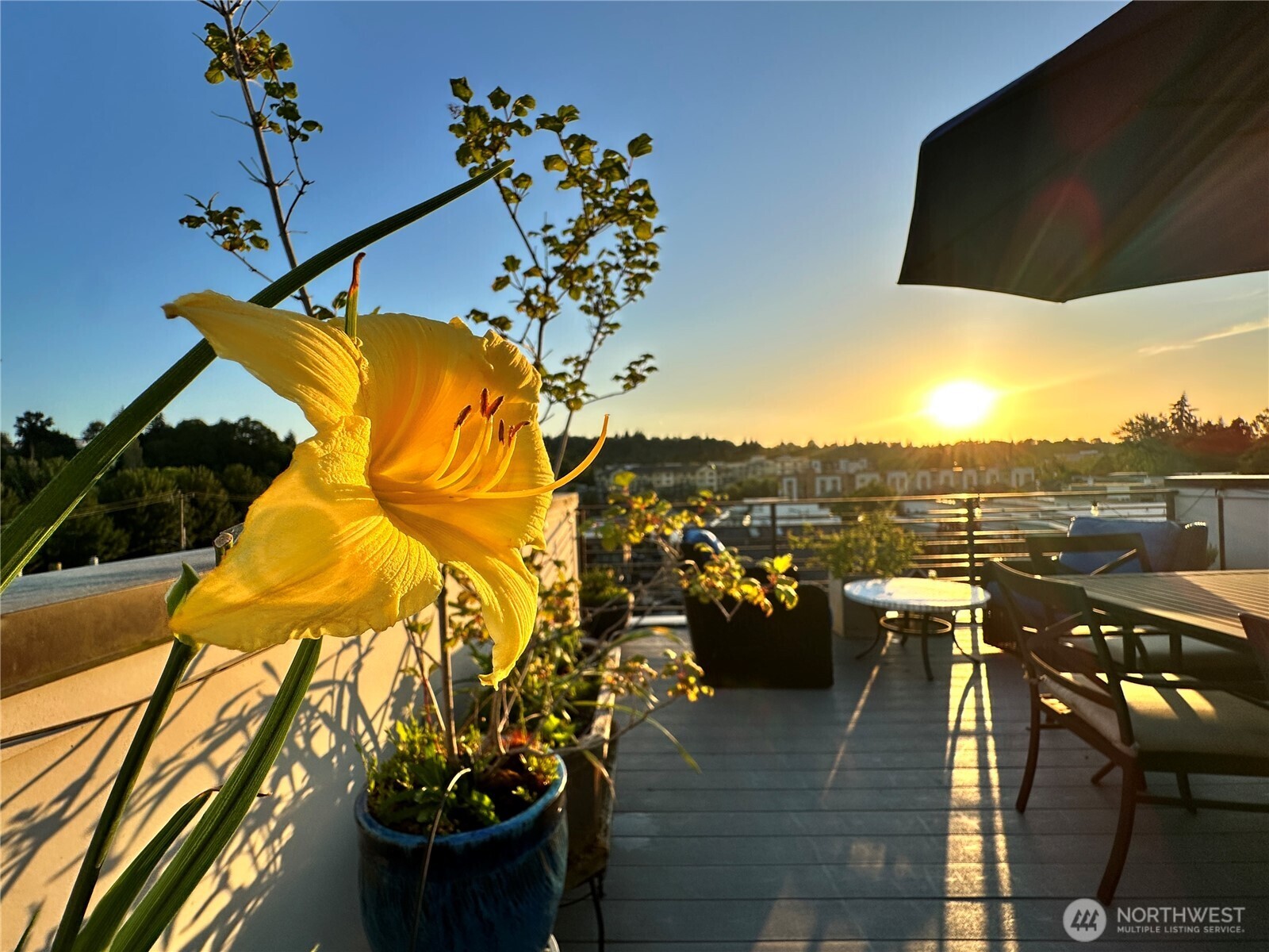 3638 Courtland Place S Unit: B