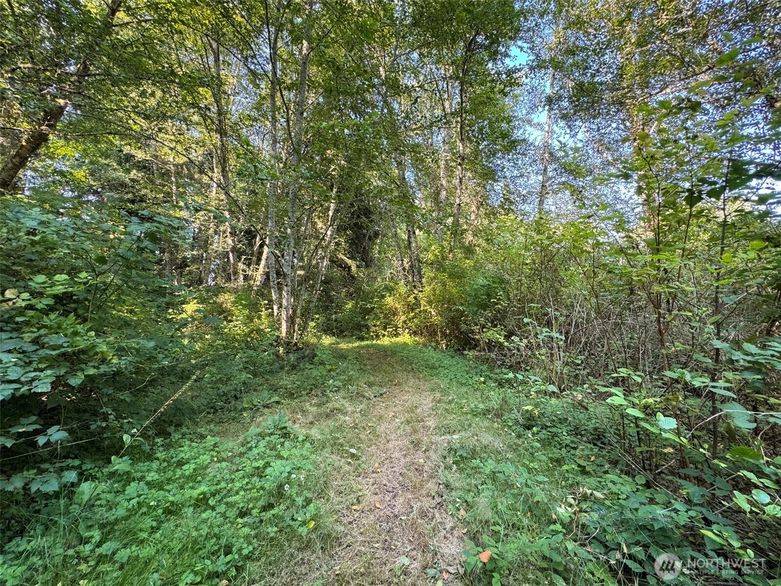 999 W Dew Knot Enter Road