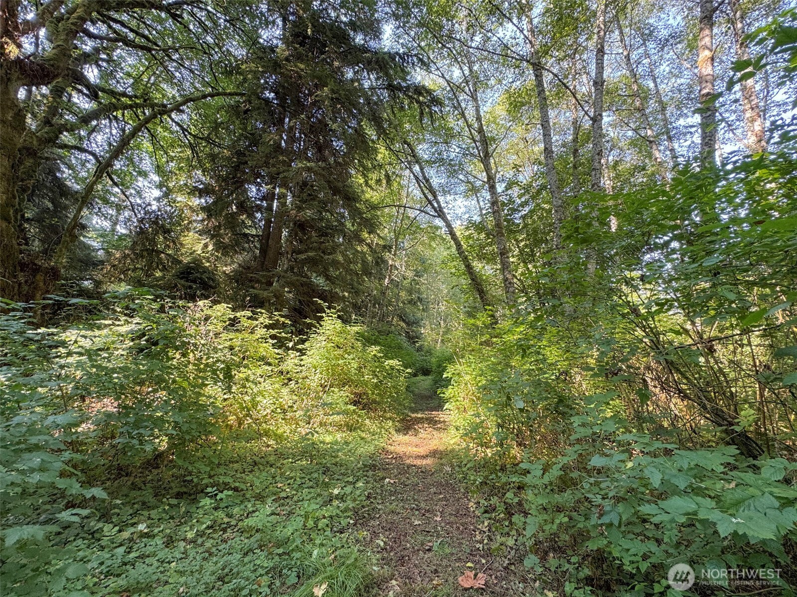 999 W Dew Knot Enter Road