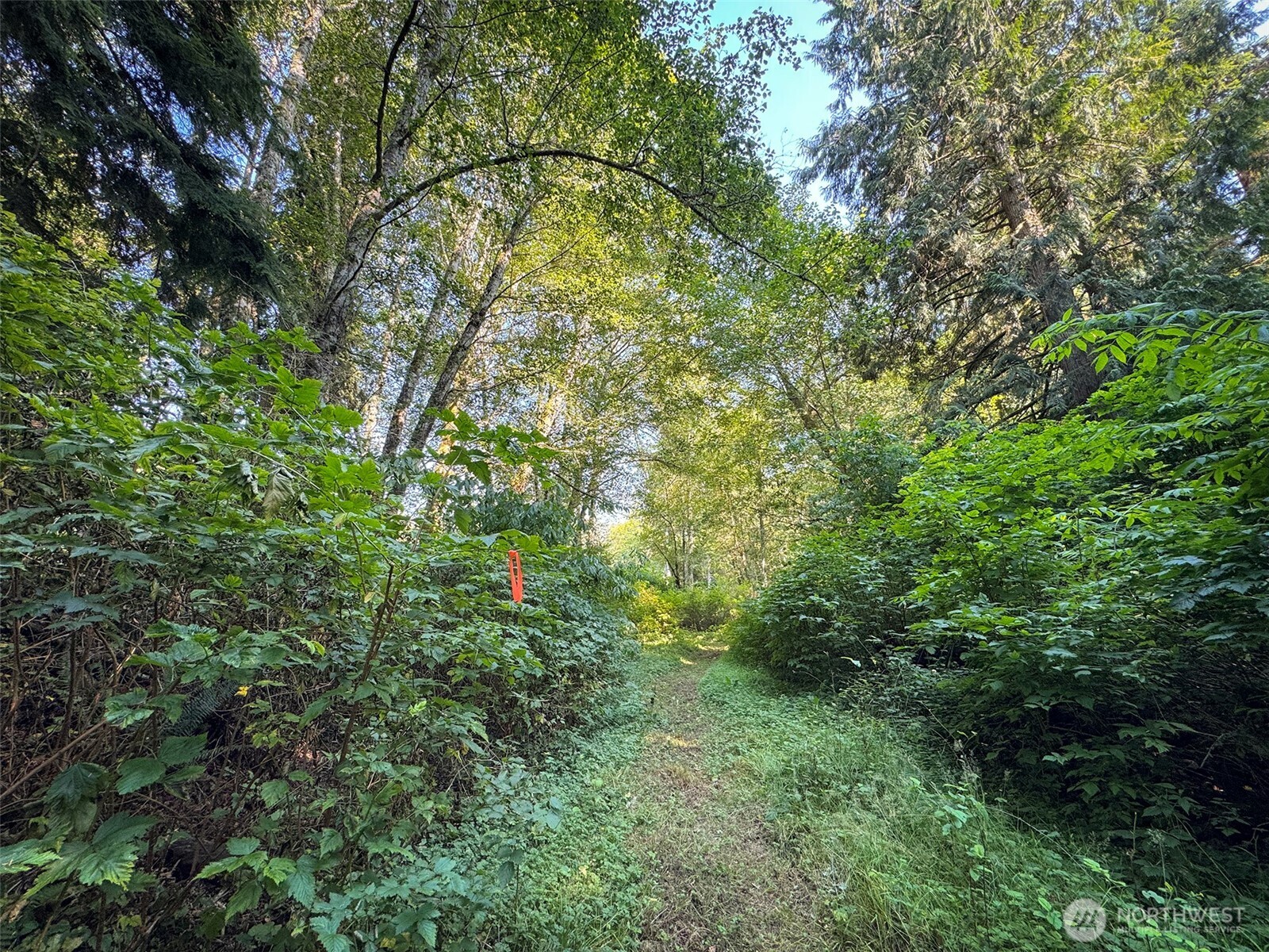 999 W Dew Knot Enter Road