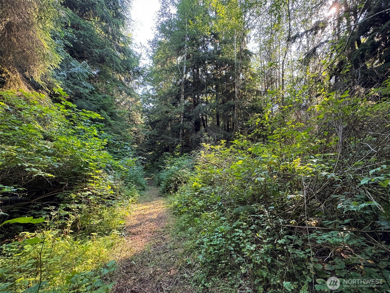 999 W Dew Knot Enter Road
