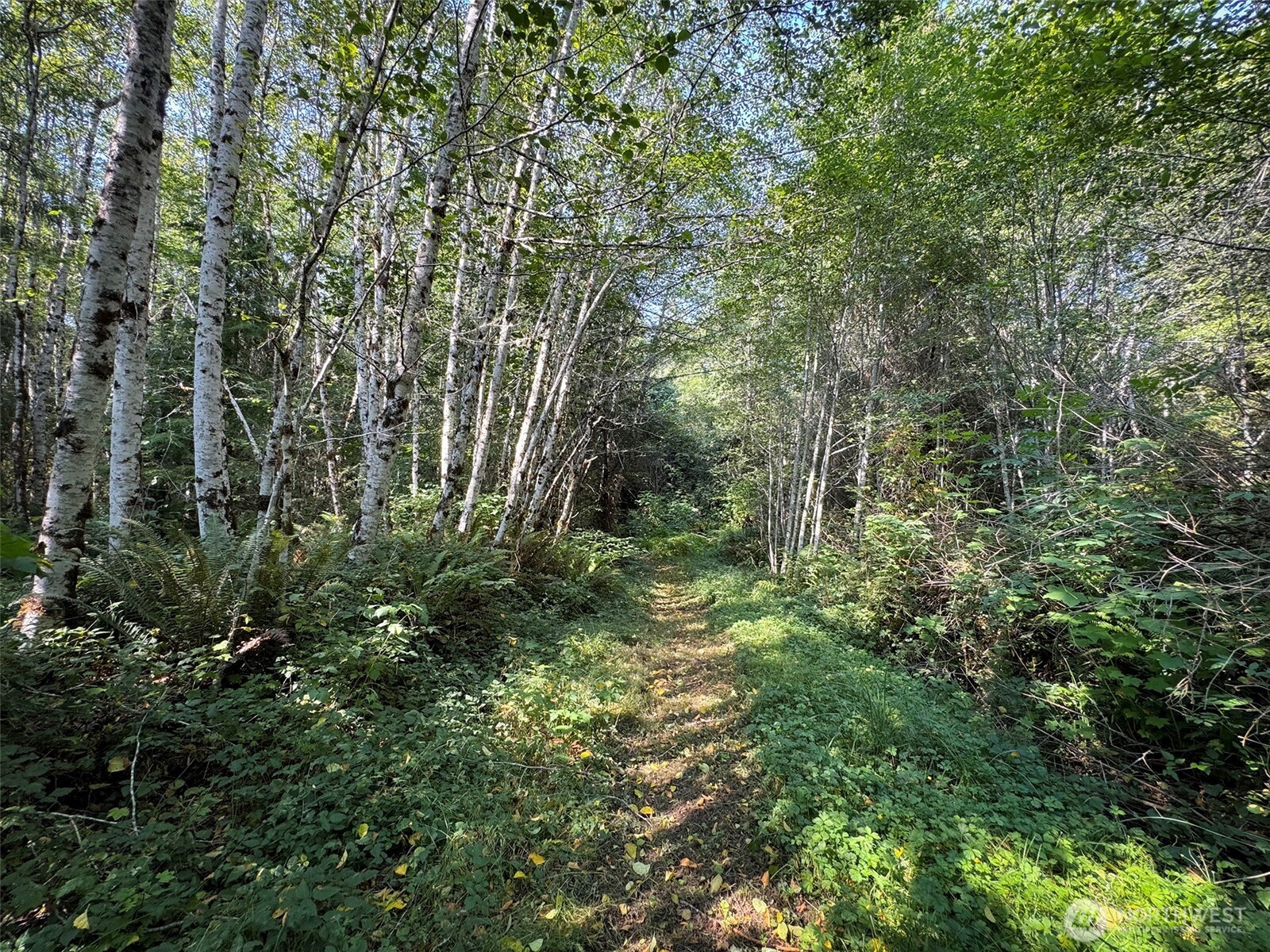 999 W Dew Knot Enter Road