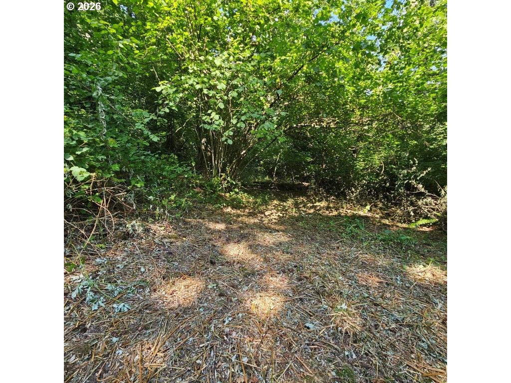 0 Washougal River Rd Unit: 104