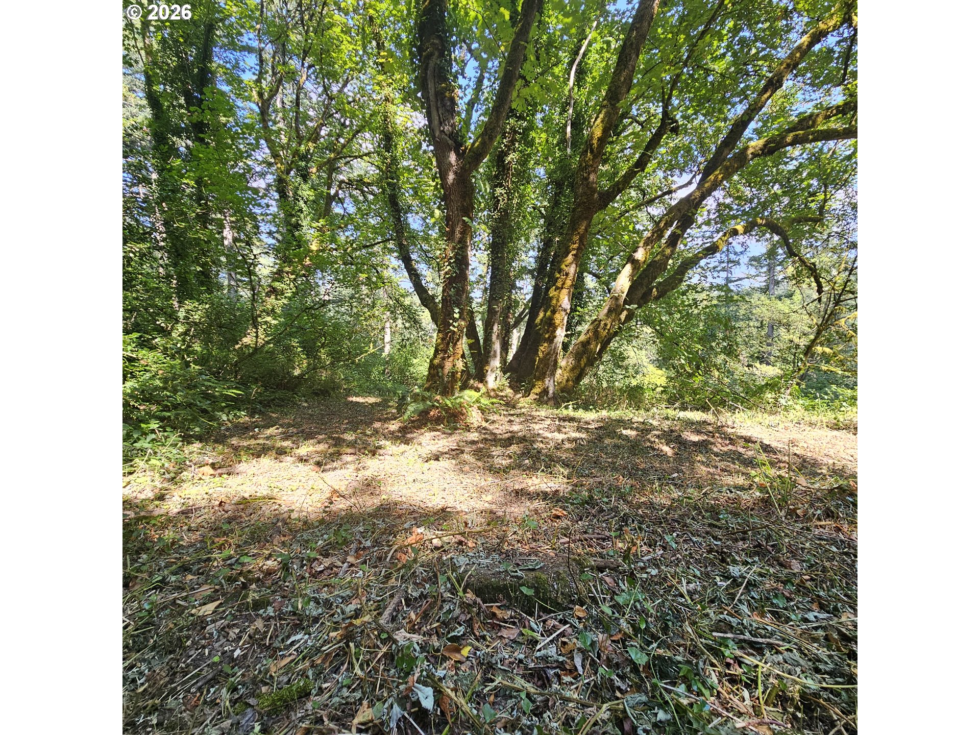 0 Washougal River Rd Unit: 104