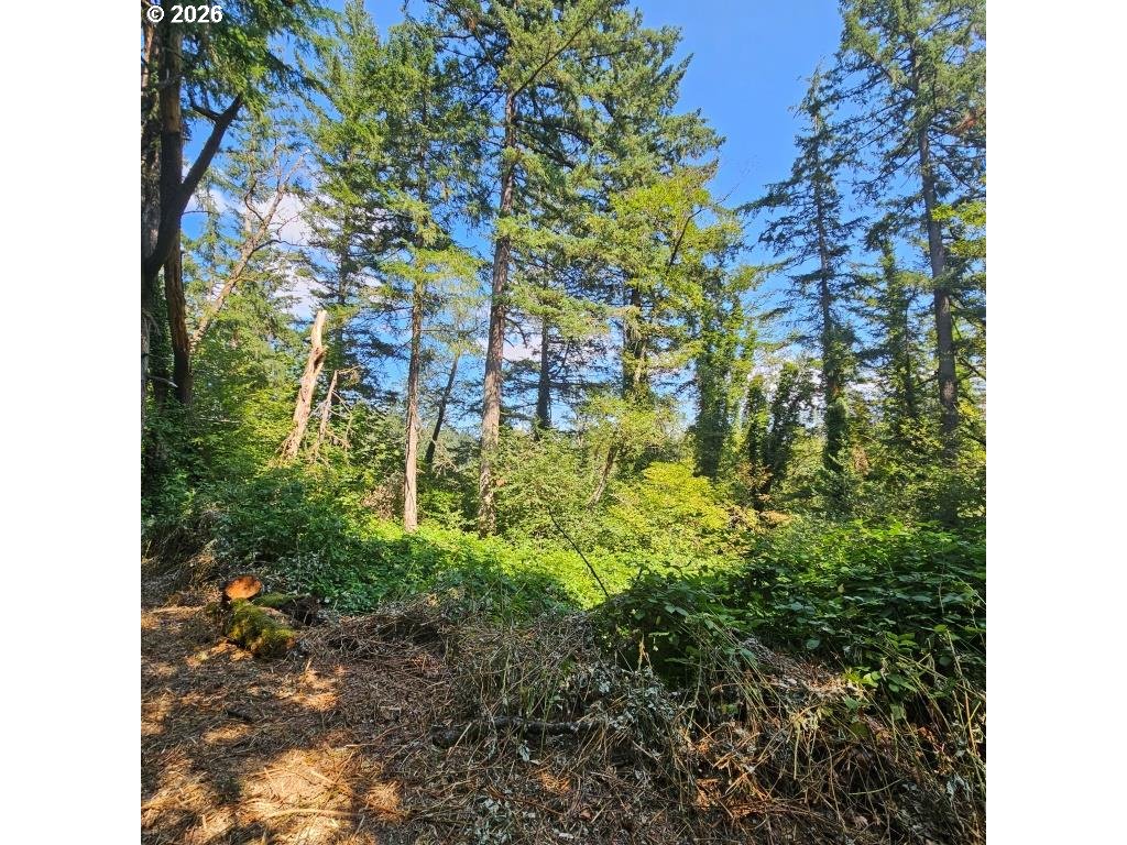 0 Washougal River Rd Unit: 104