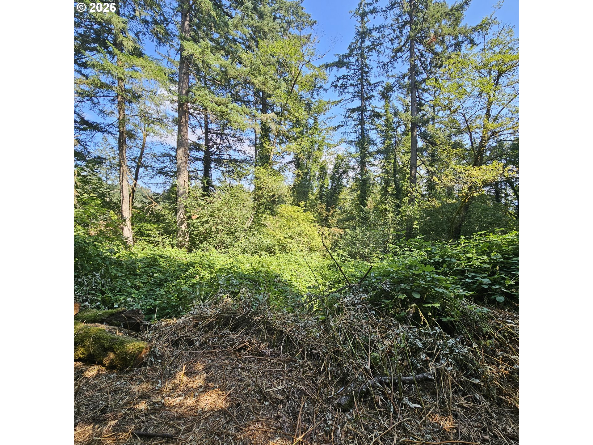 0 Washougal River Rd Unit: 104
