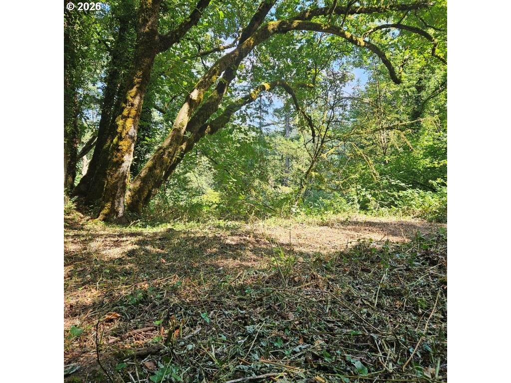 0 Washougal River Rd Unit: 104