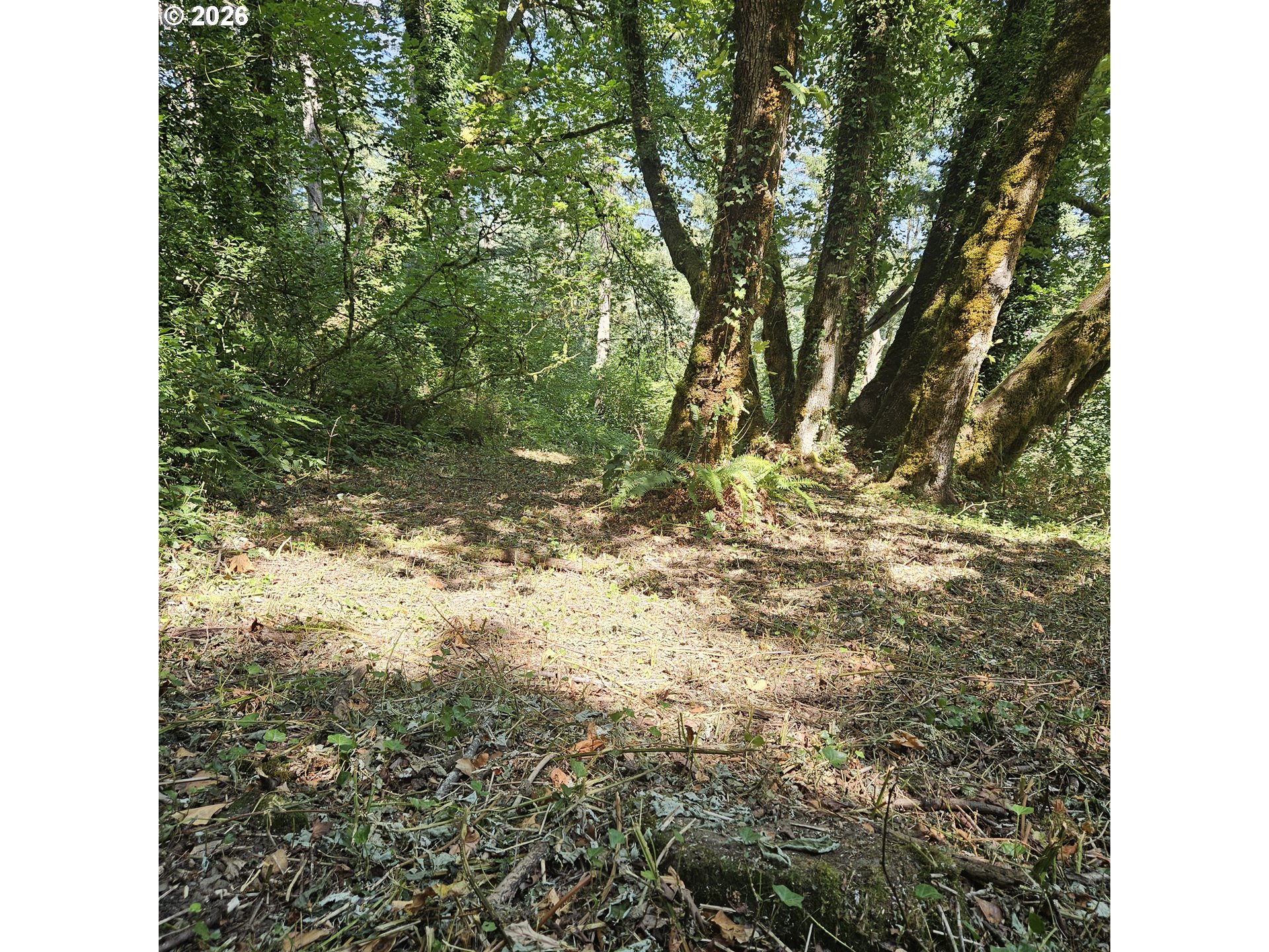 0 Washougal River Rd Unit: 104