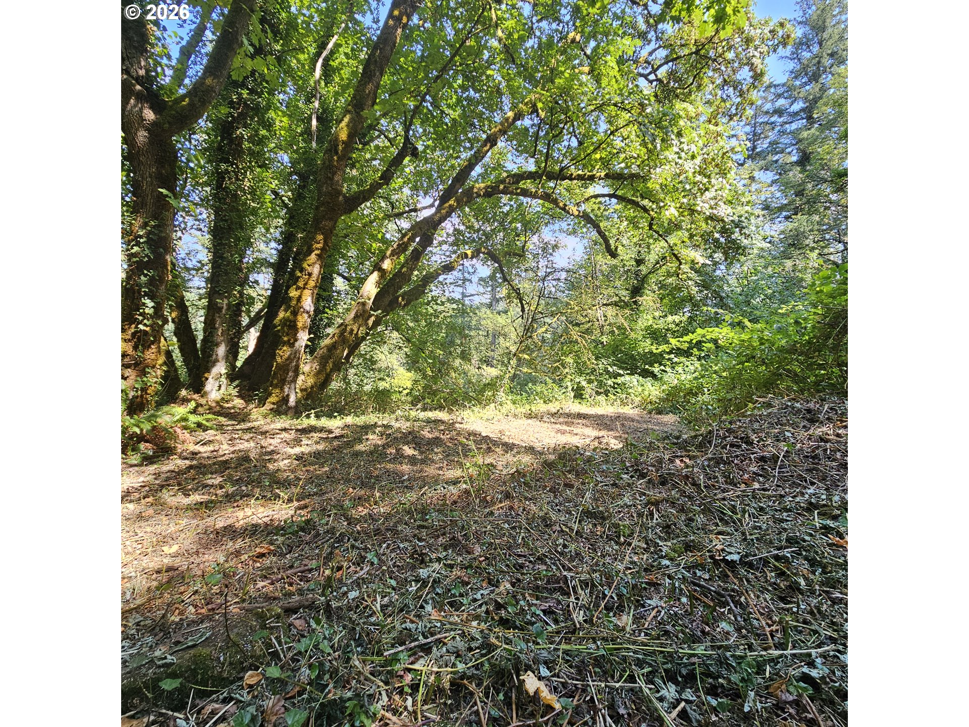 0 Washougal River Rd Unit: 103