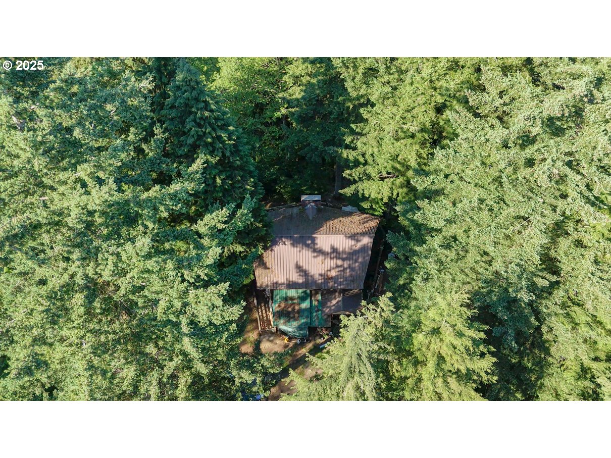 241 SKAMANIA MINES RD