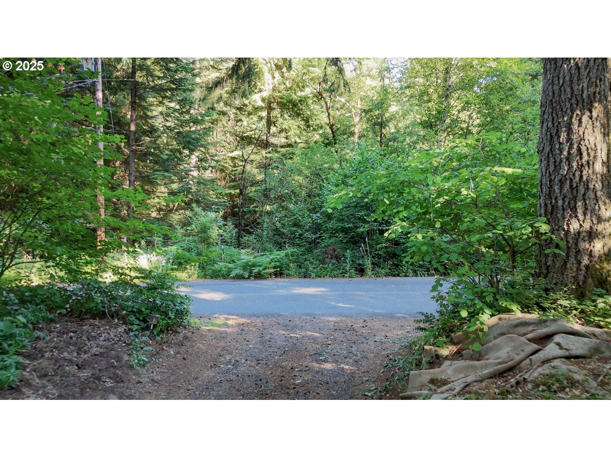 241 SKAMANIA MINES RD