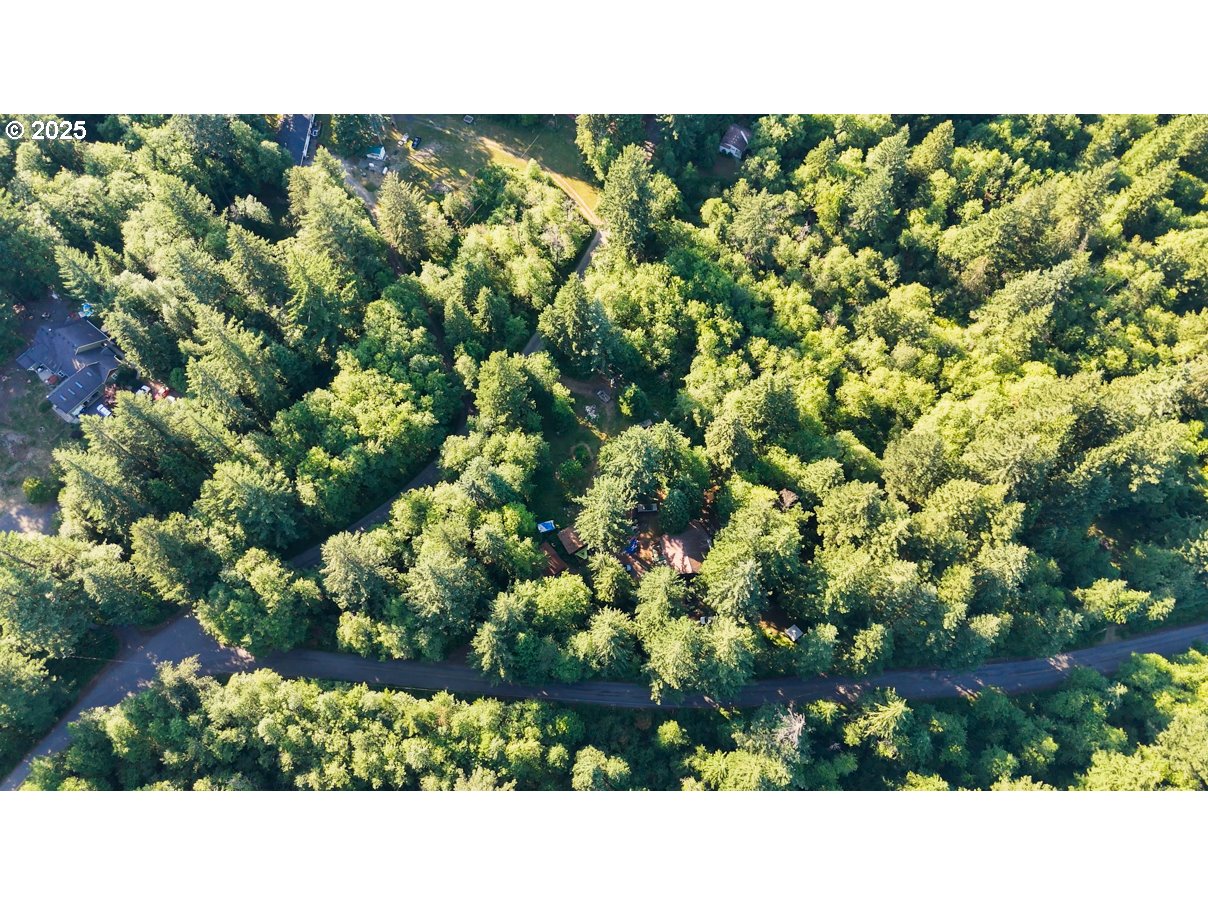 241 SKAMANIA MINES RD