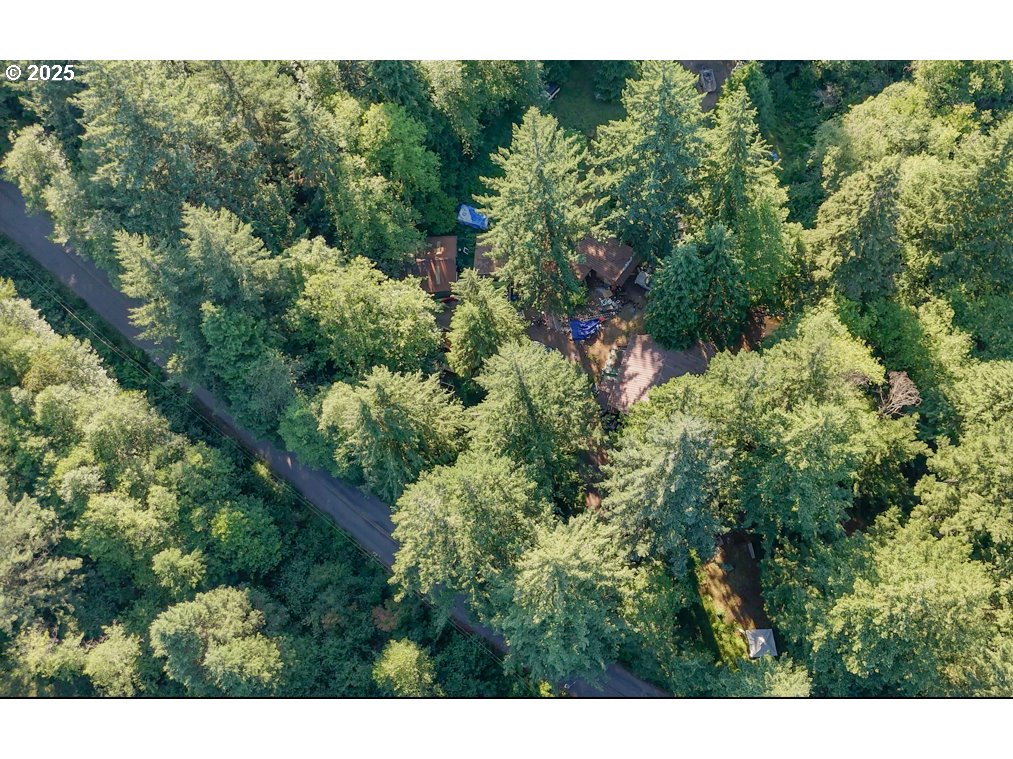 241 SKAMANIA MINES RD