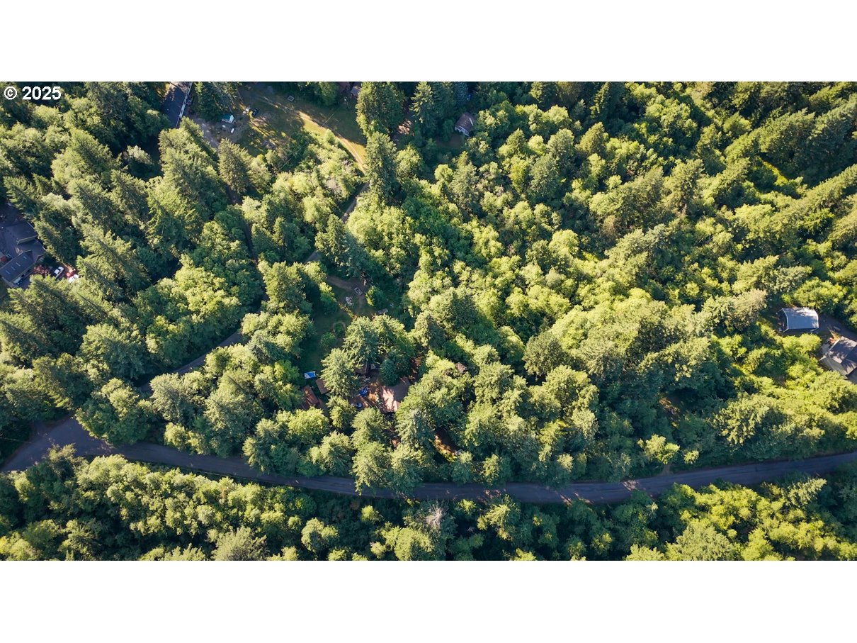 241 SKAMANIA MINES RD