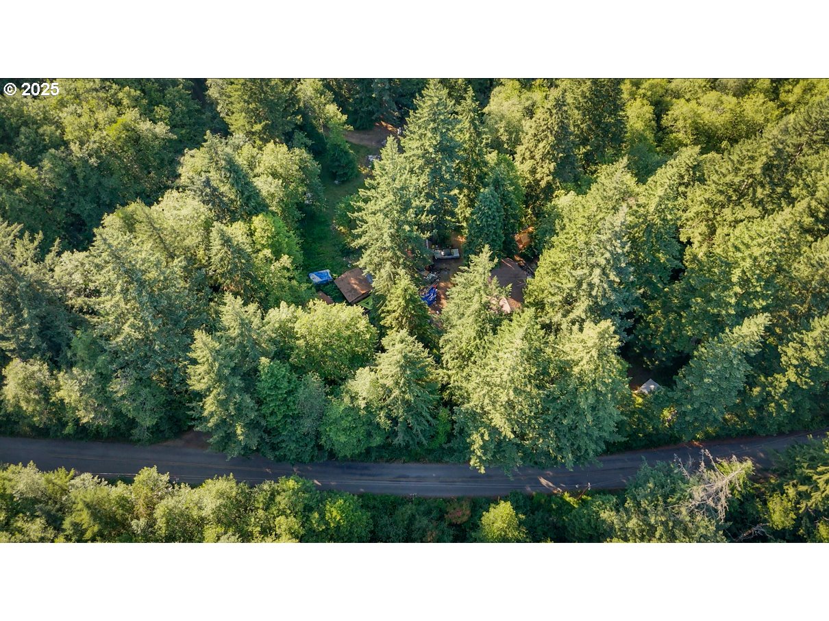 241 SKAMANIA MINES RD