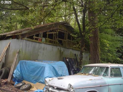 241 SKAMANIA MINES RD
