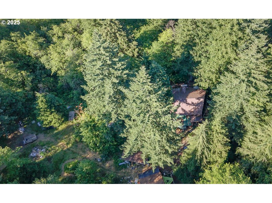 241 SKAMANIA MINES RD
