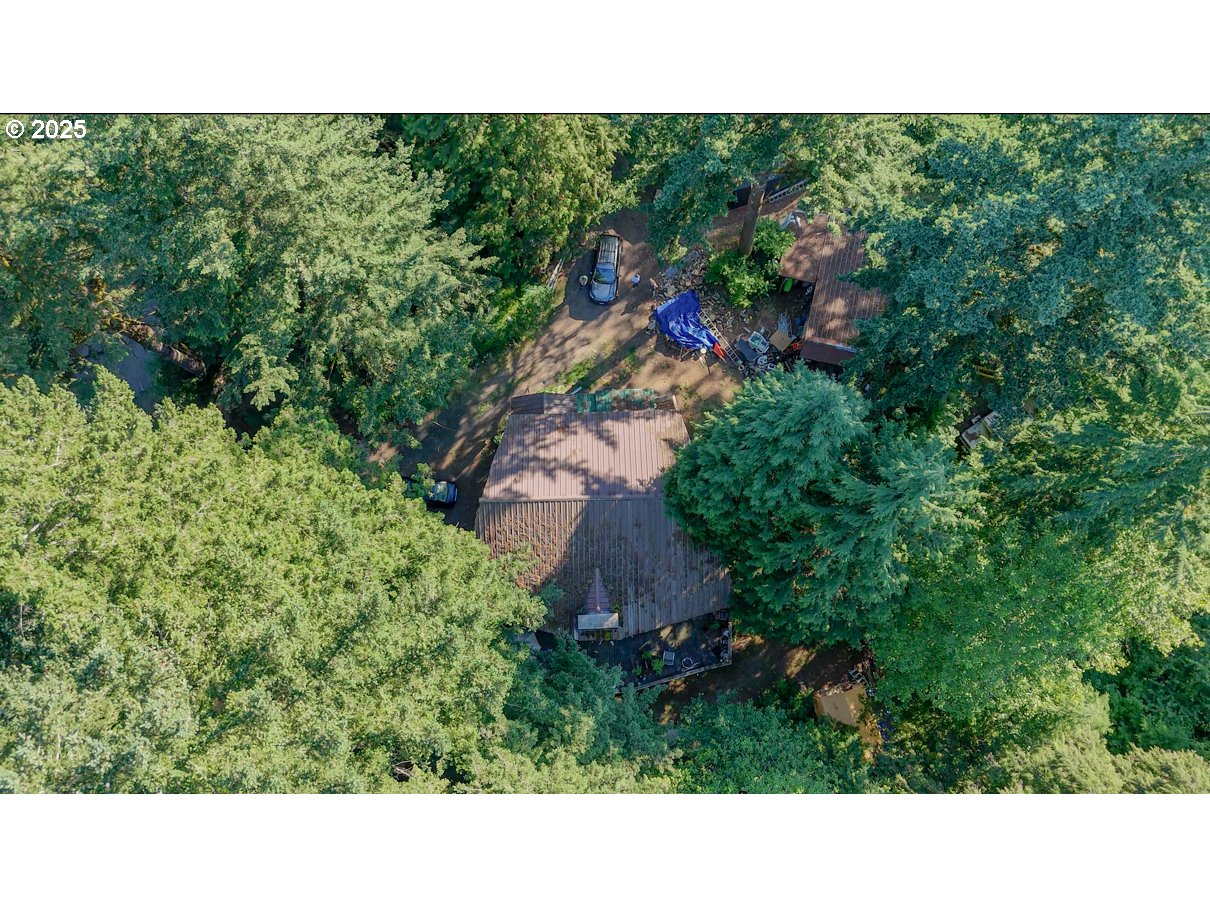 241 SKAMANIA MINES RD
