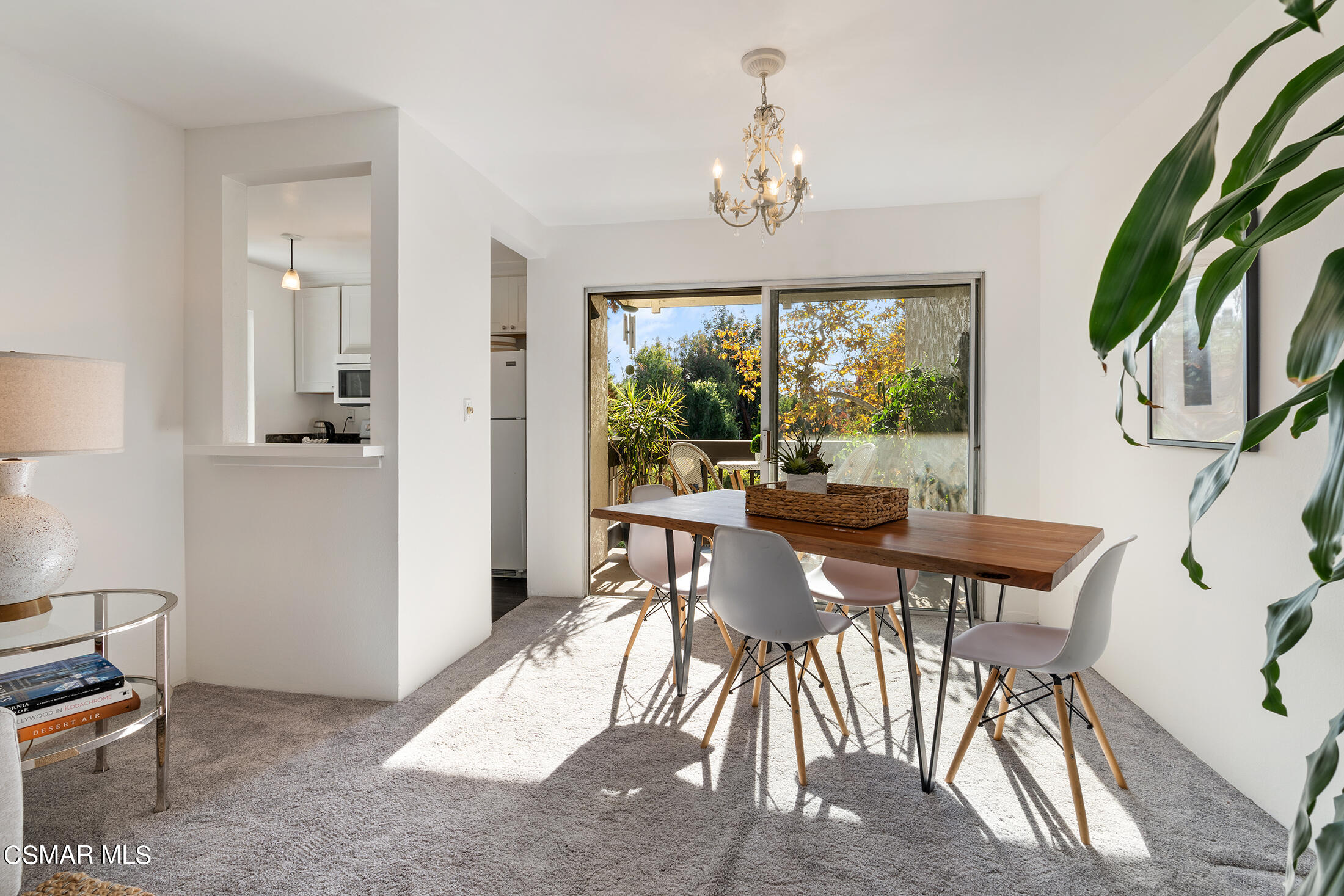 11203 Summertime Lane