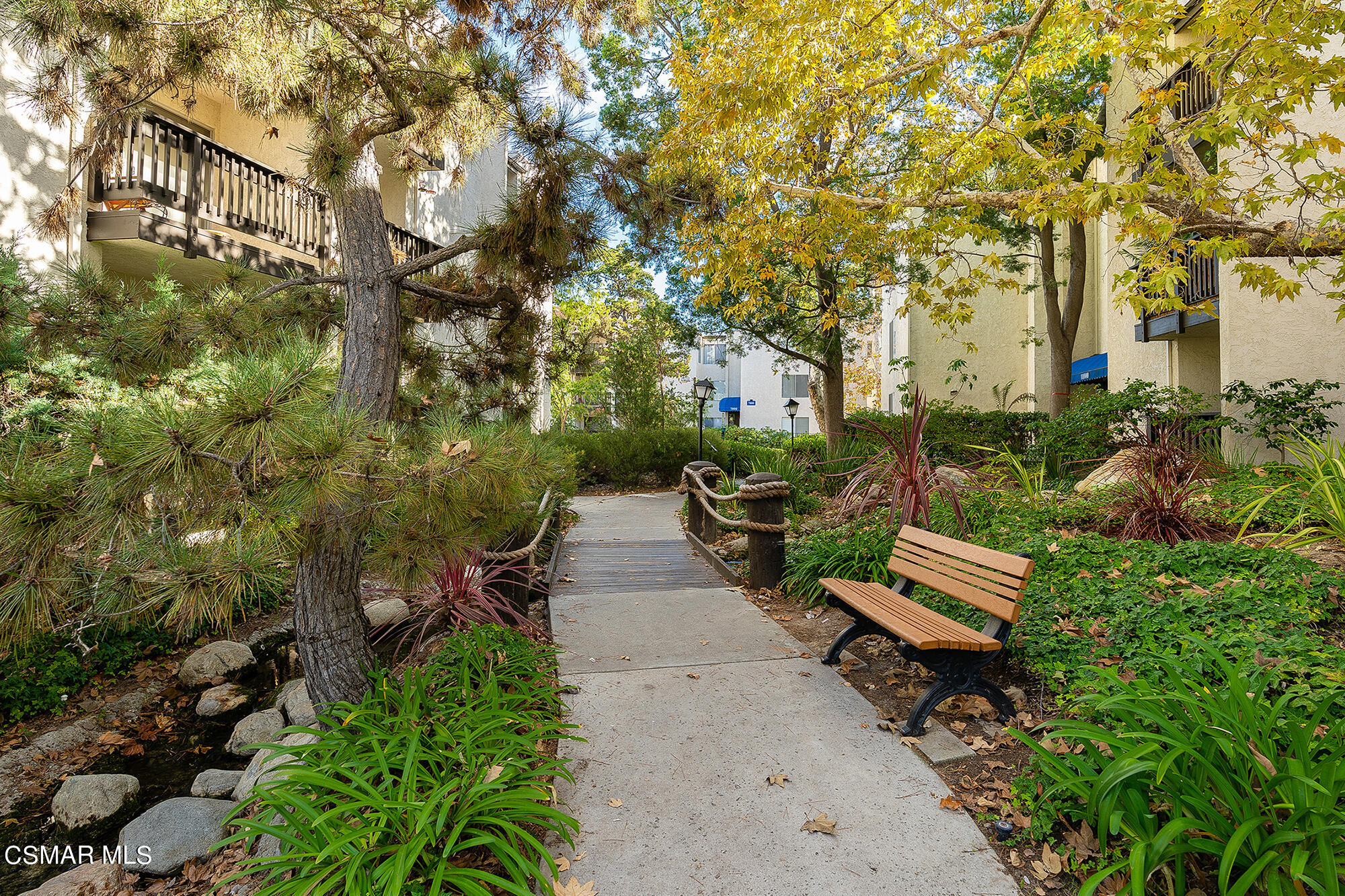 11203 Summertime Lane