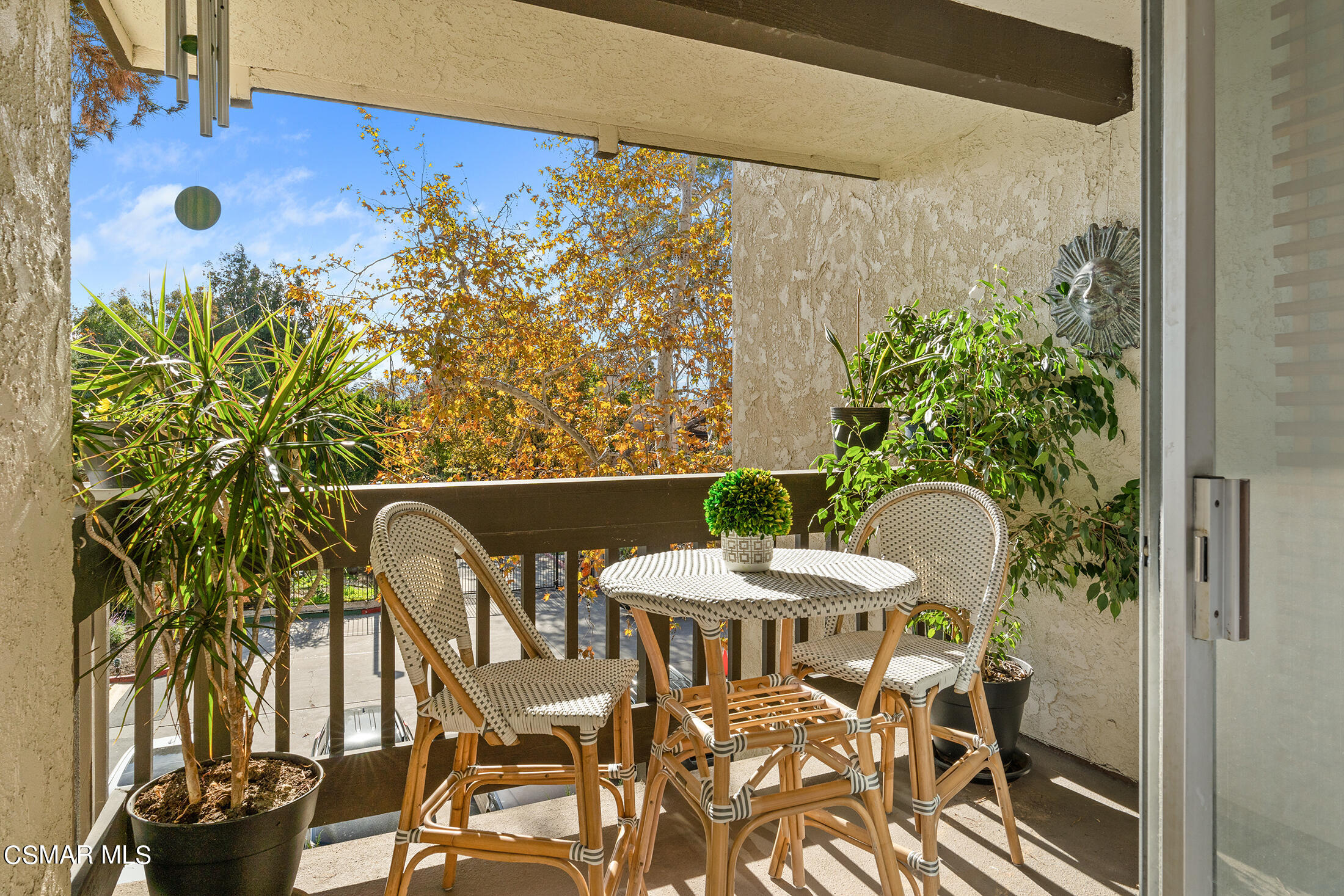 11203 Summertime Lane