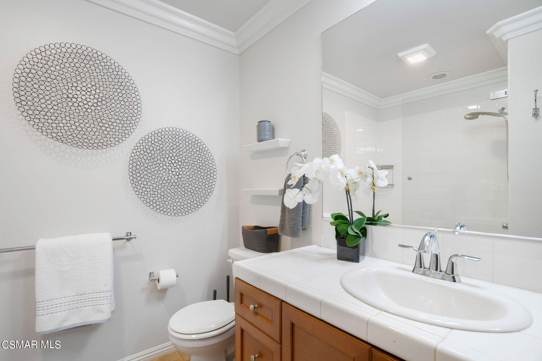 1596 Silver Shadow Drive