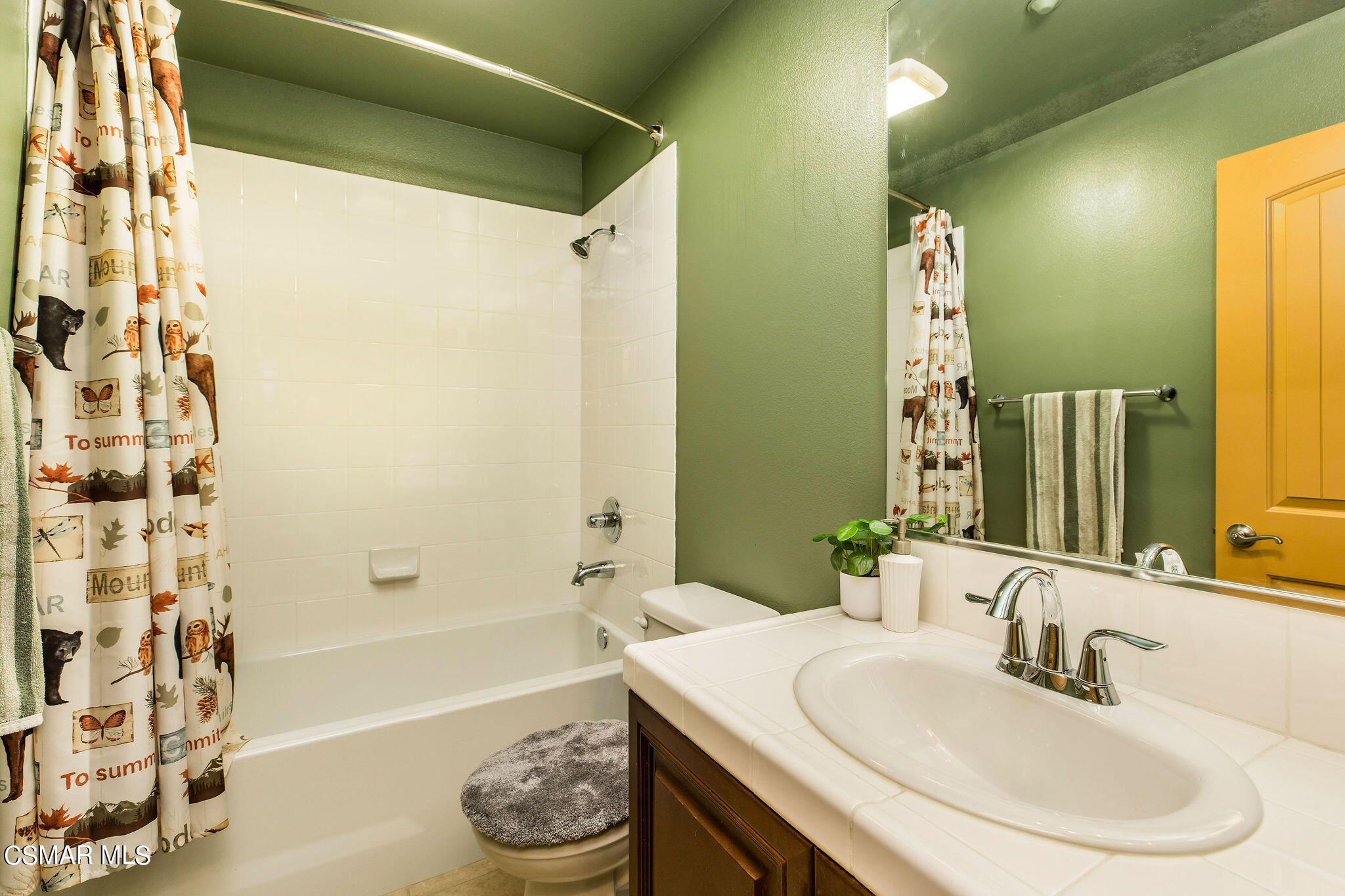 1594 Silver Shadow Drive