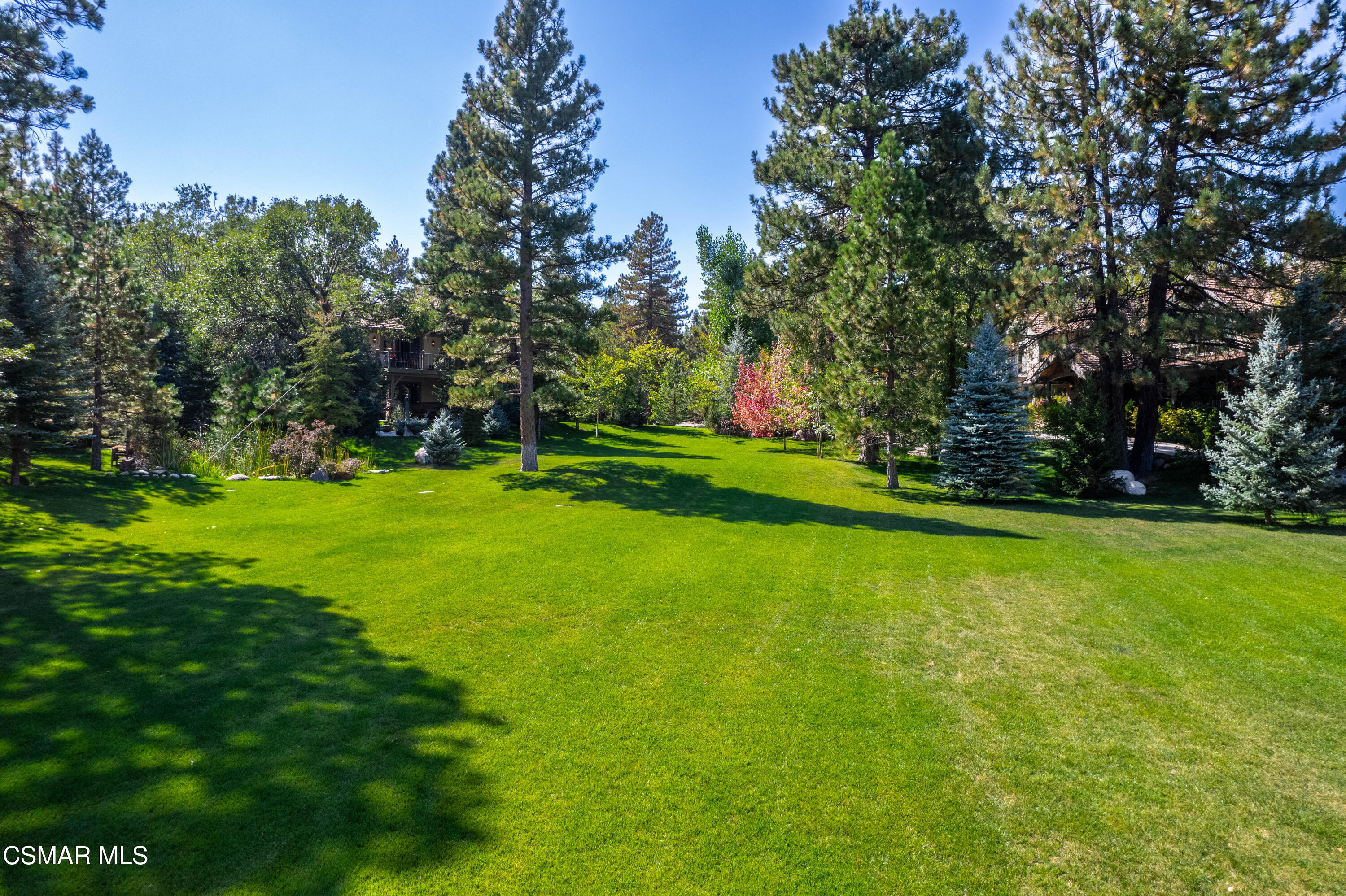 32310 Hummingbird Court