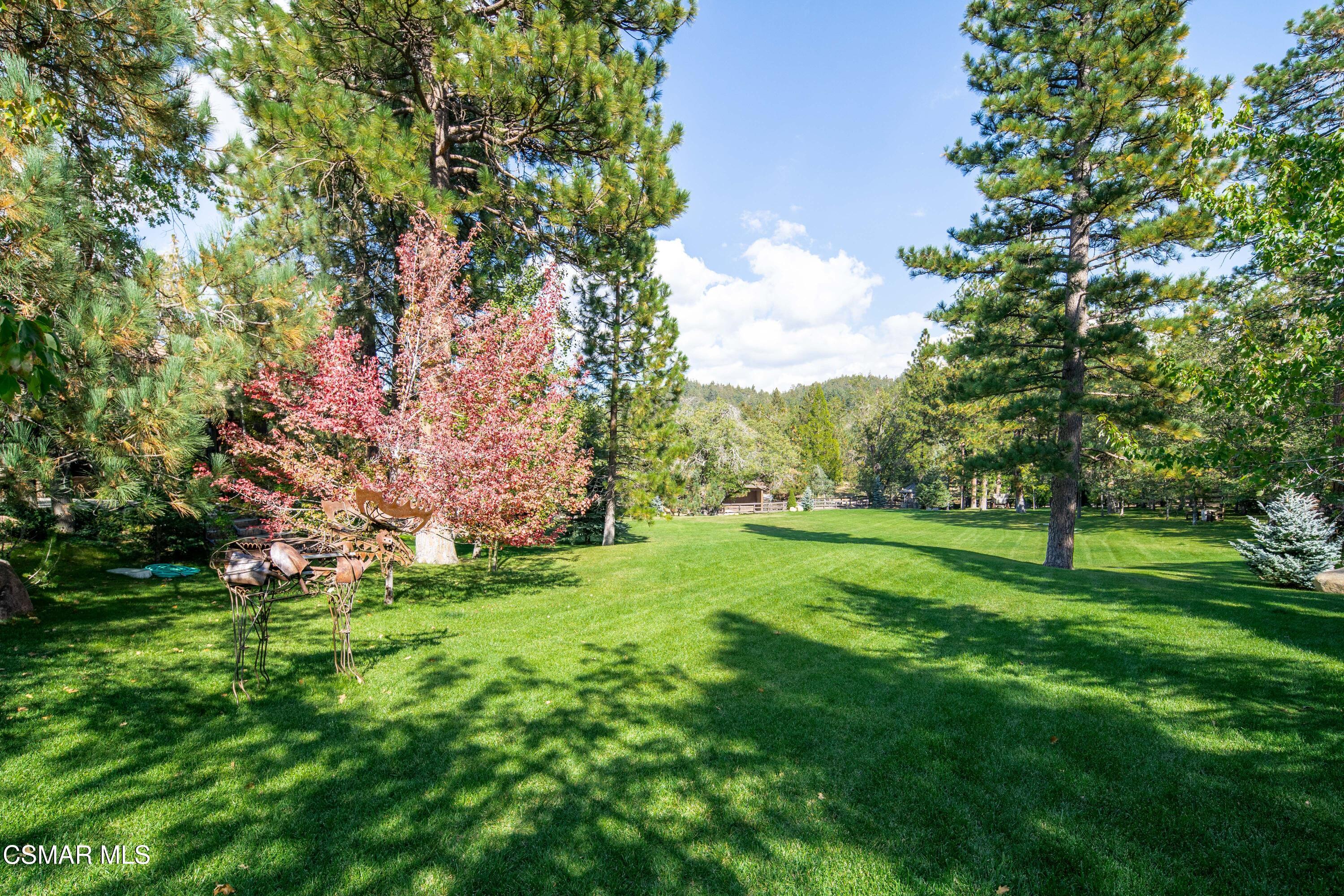 32310 Hummingbird Court