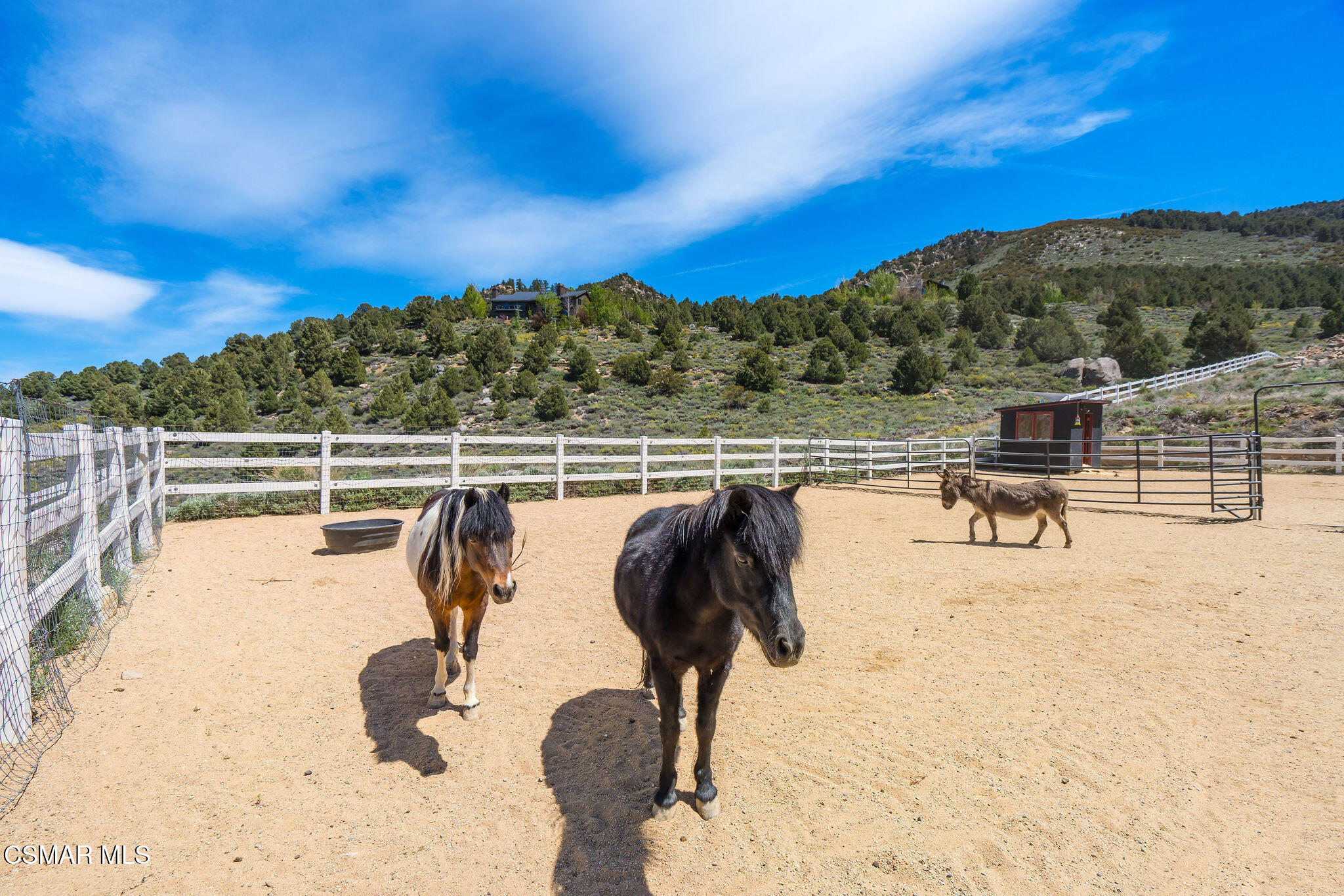 716 Aspen Spring Ranch Road