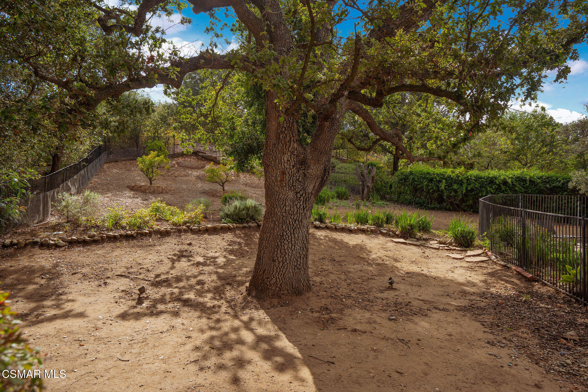 1707 Crooked Trail Place