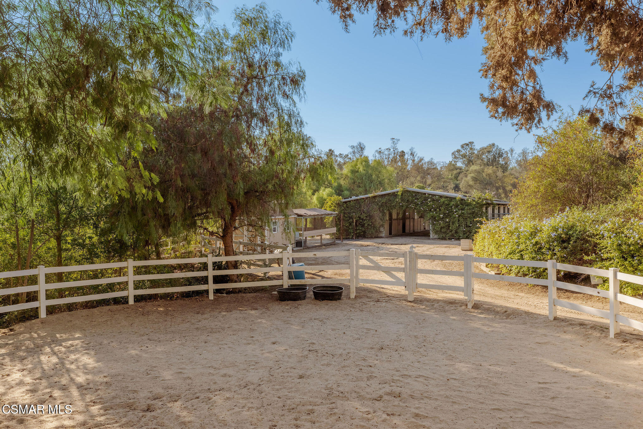 Fenced dirt yard with a white rail gate, mature trees, and low buildings beyond.