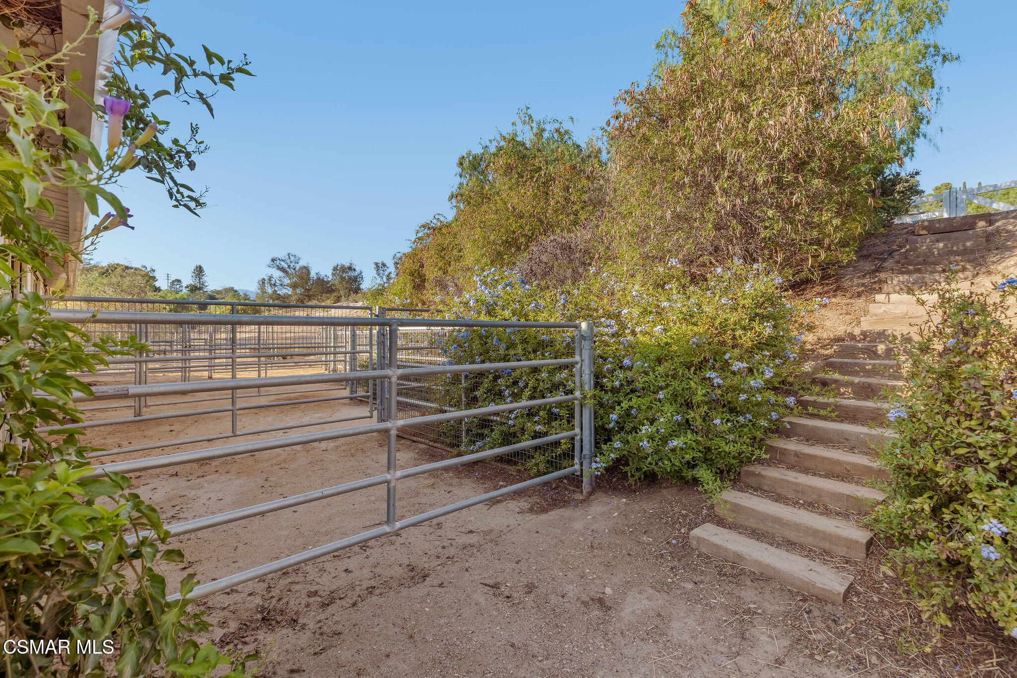 Dirt paddock with metal gates, flowering shrubs, and timber steps up a slope.