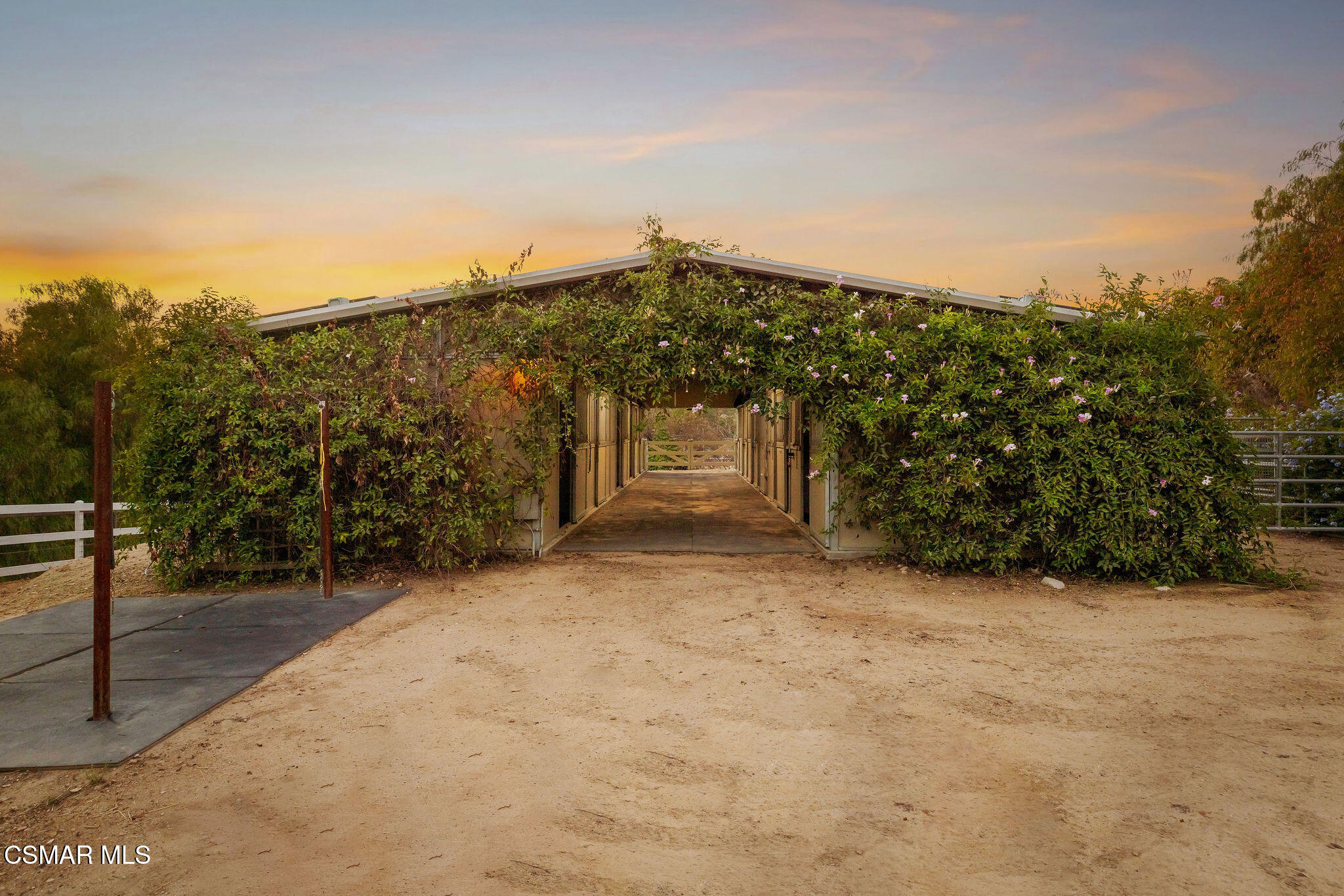 Ivy-covered outbuilding with an open central passage and dirt yard at sunset.