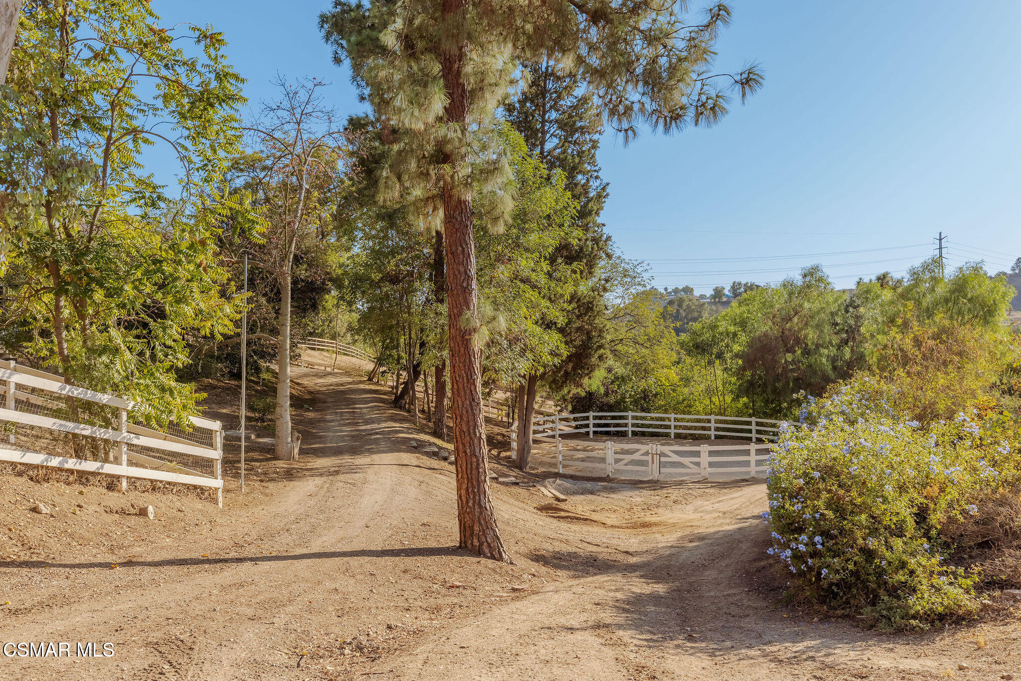 Wooded property grounds with a dirt drive, white rail fencing, and a circular riding pen.