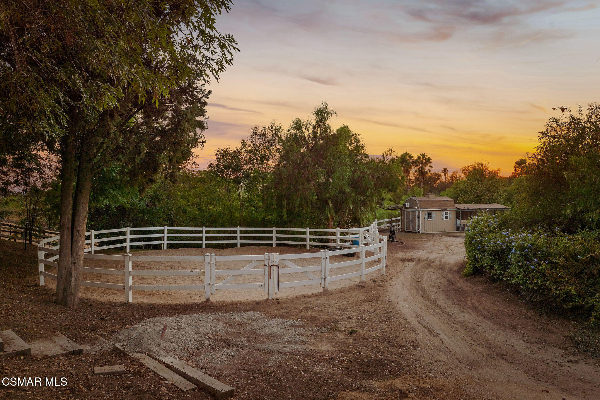 White-fenced dirt paddock and small outbuilding amid trees at sunset.