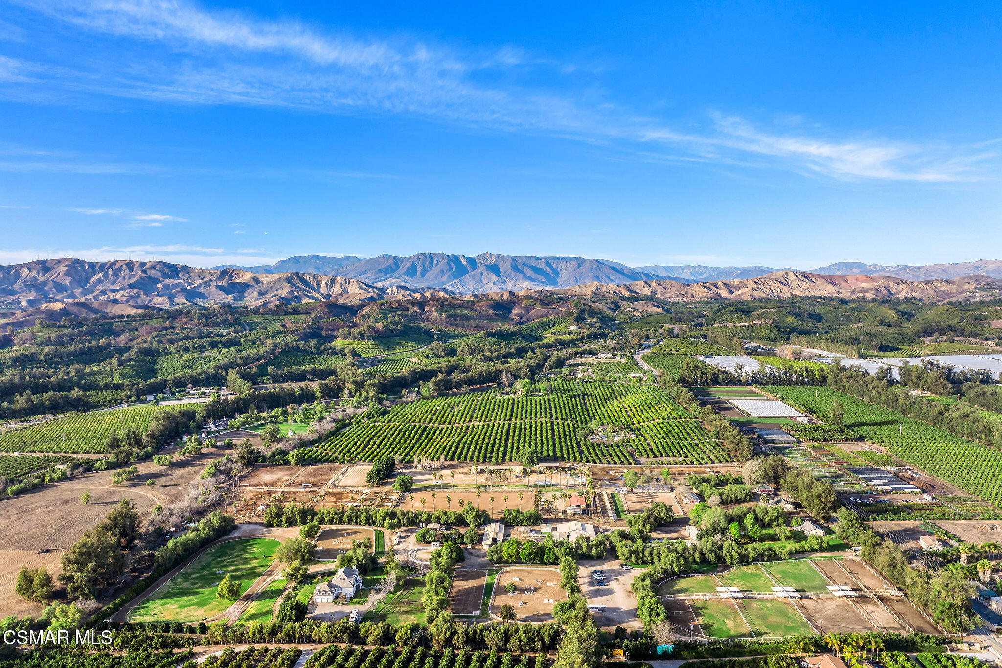 Aerial view of vineyard rows and equestrian paddocks with mountains in the distance.