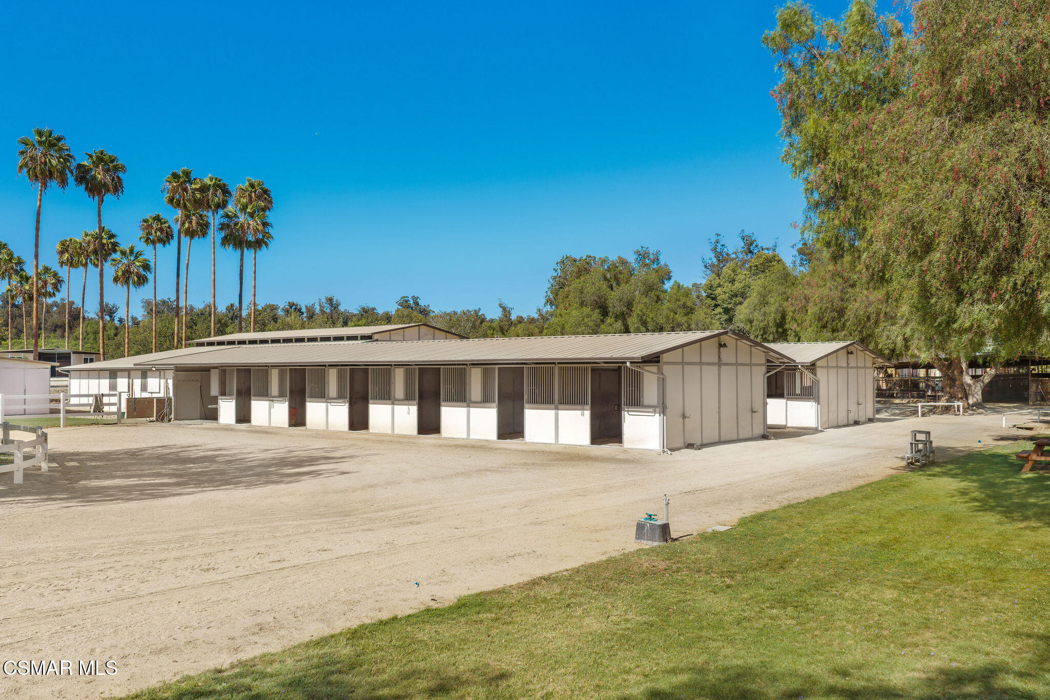 Long stable with multiple stalls beside a dirt yard, palm trees, and lawn.