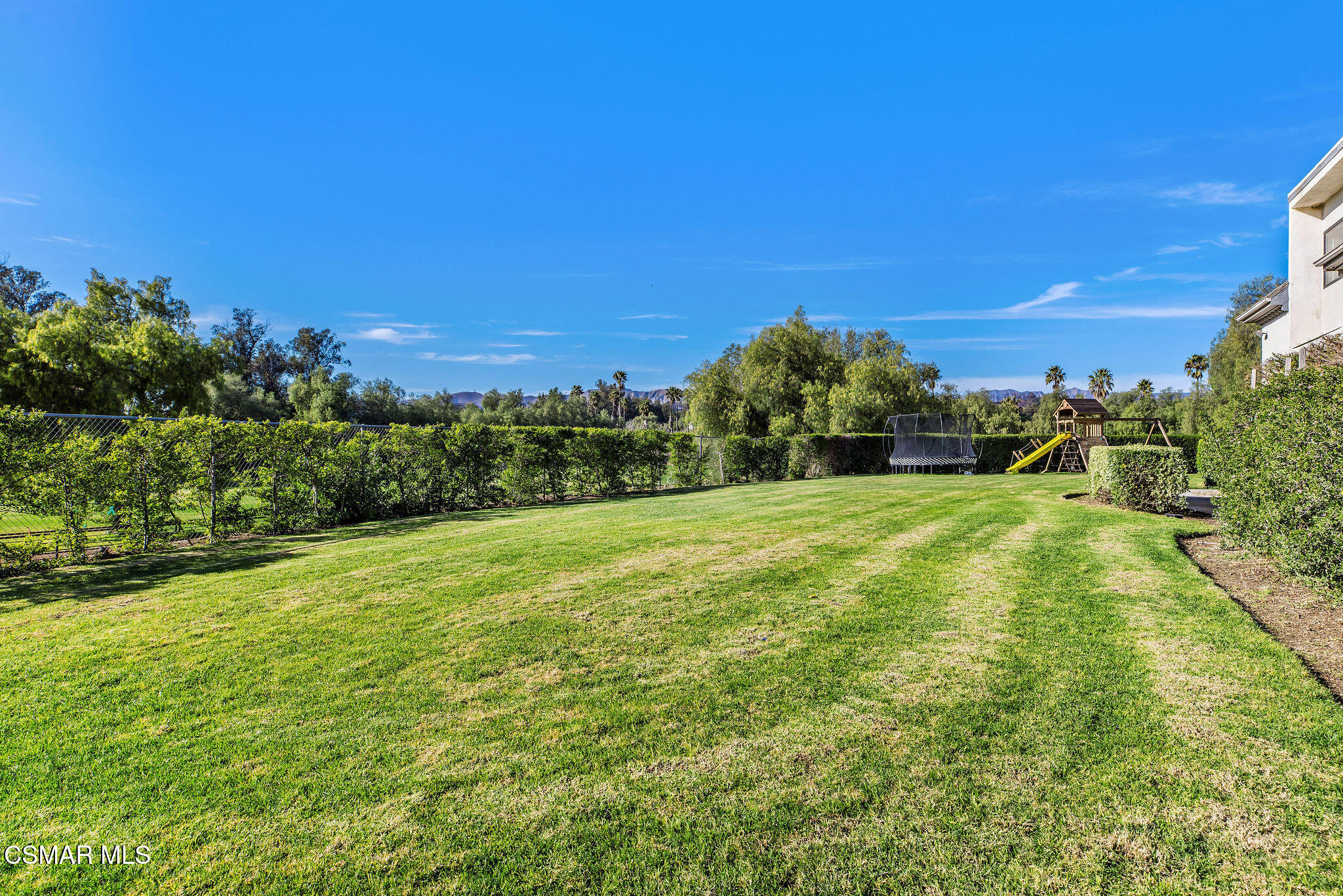 Spacious backyard lawn bordered by hedges, with a trampoline and playset.