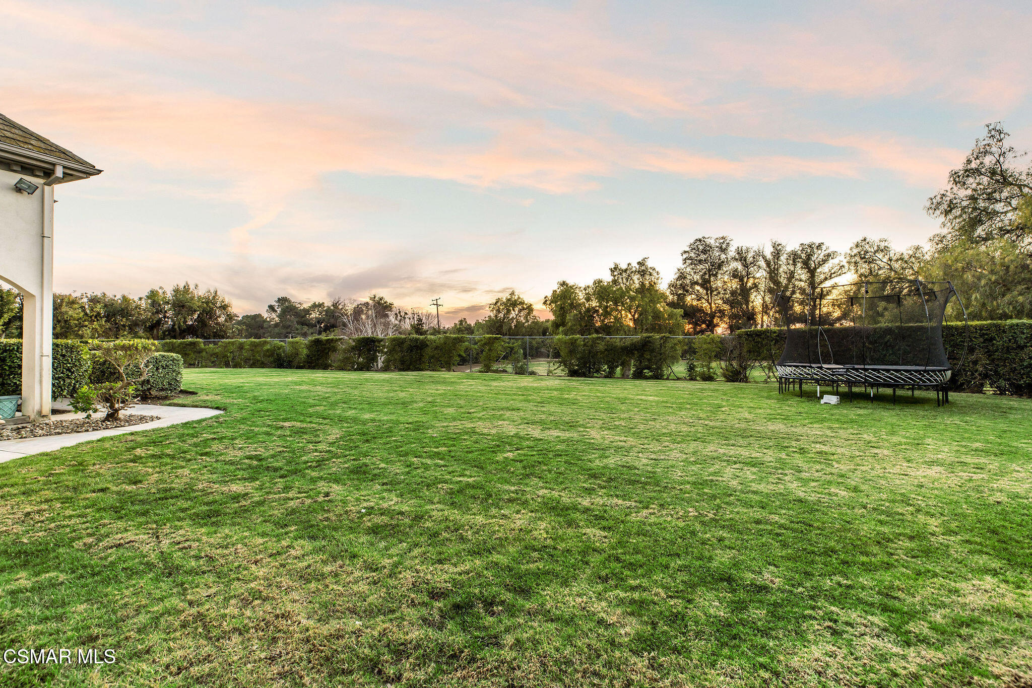 Grassy backyard with a trampoline and trimmed hedges beneath a sunset sky.