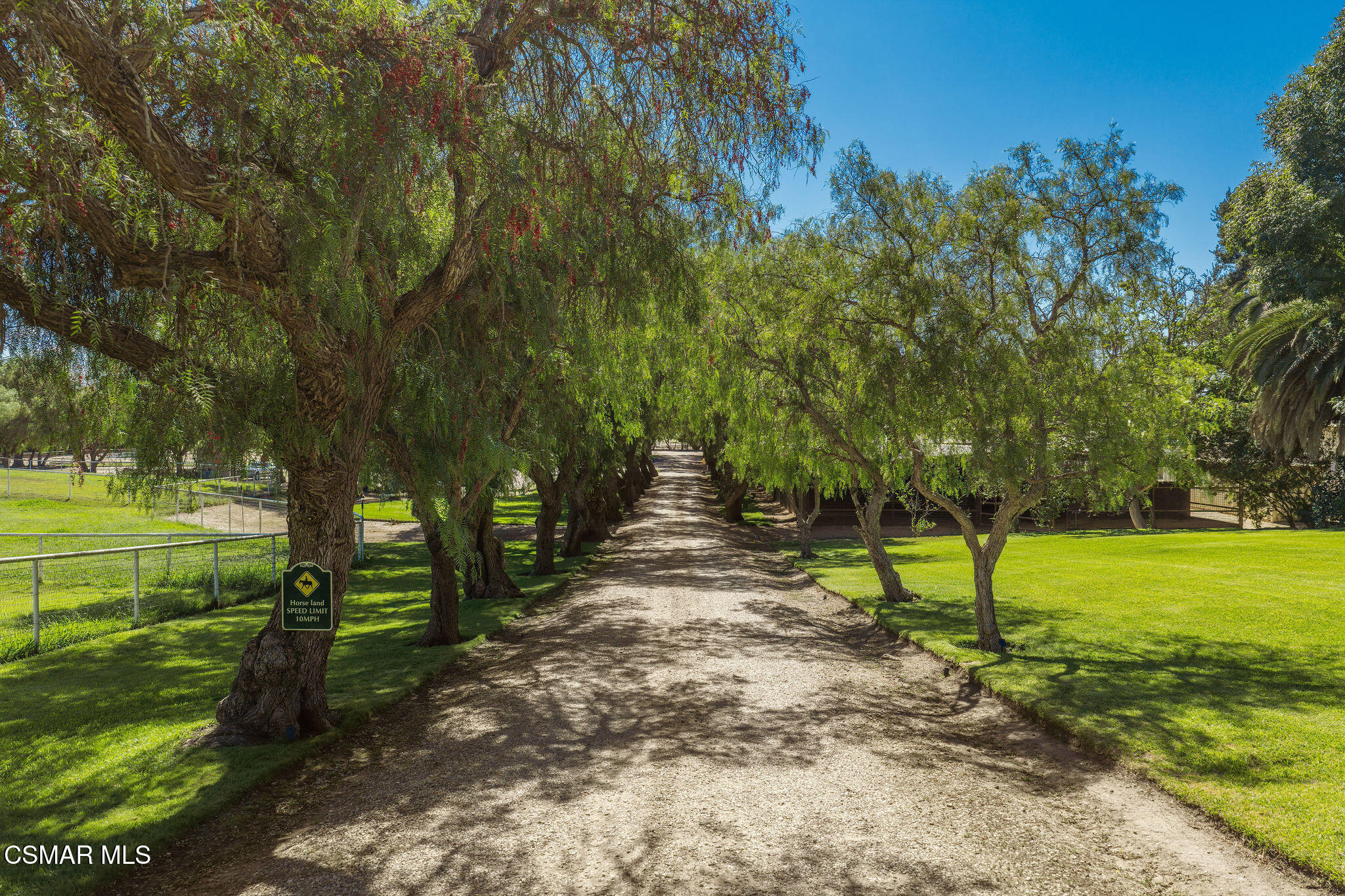 Tree-lined gravel driveway through green lawns, with a horse speed limit sign on a large tree.